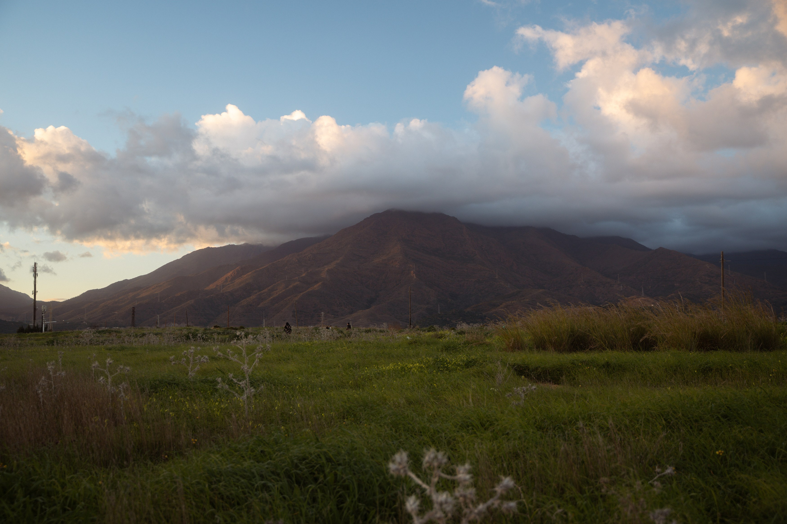 Locations for family and couple photoshoots. Wedding photographer in Marbella, Estepona, Malaga, Gibraltar, Cadiz — Valentina Abrazey