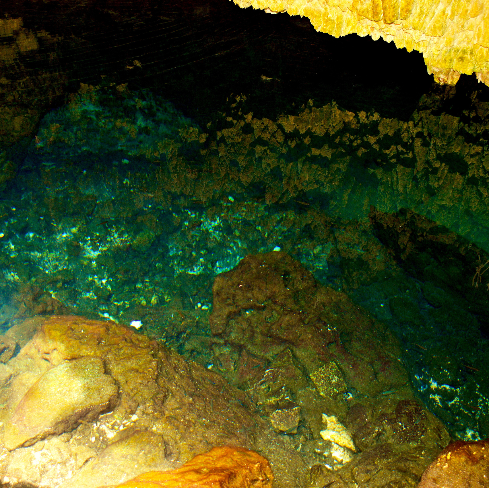 Services. Photographe de famille à Montréal Ewa Molchanovskaya