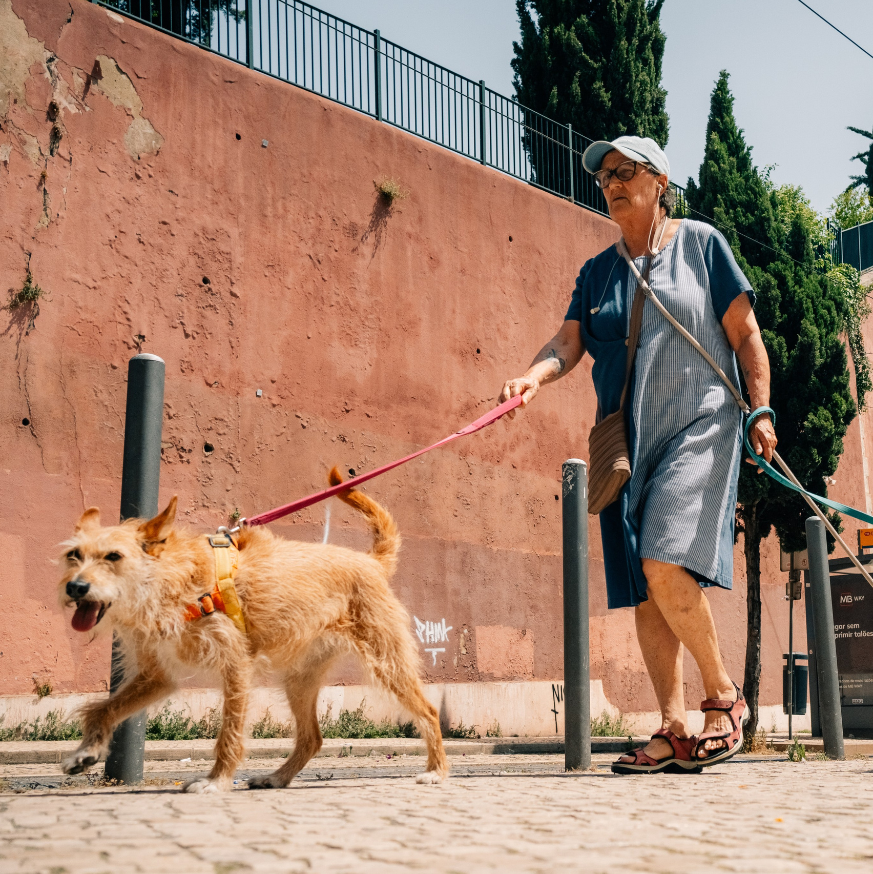 Фотопрогулки. Sher.SCHOOL