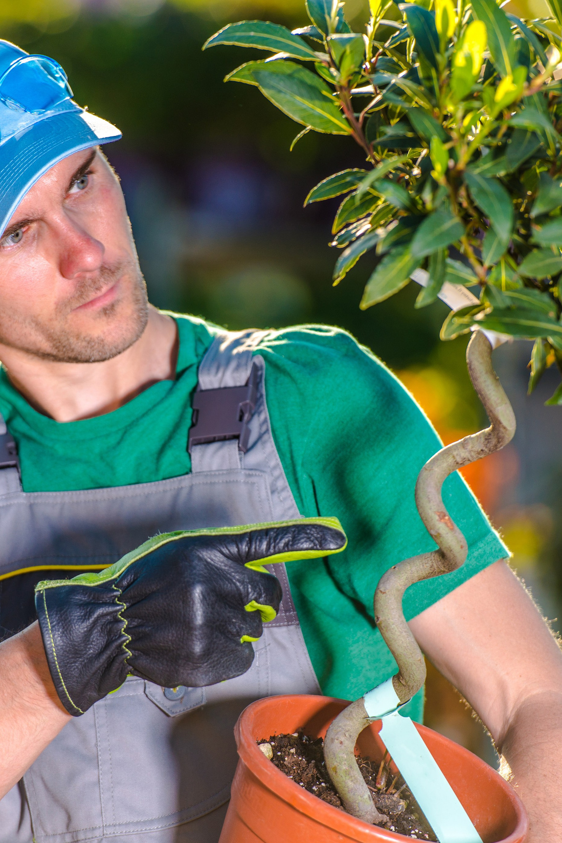 Συντήρηση Πολυκατοικιών | Καθαρισμός & Κοινόχρηστοι Χώροι. Geoponitikon-Όταν η Επιστήμη συναντά την Τέχνη στο Φυσικό Τοπίο!