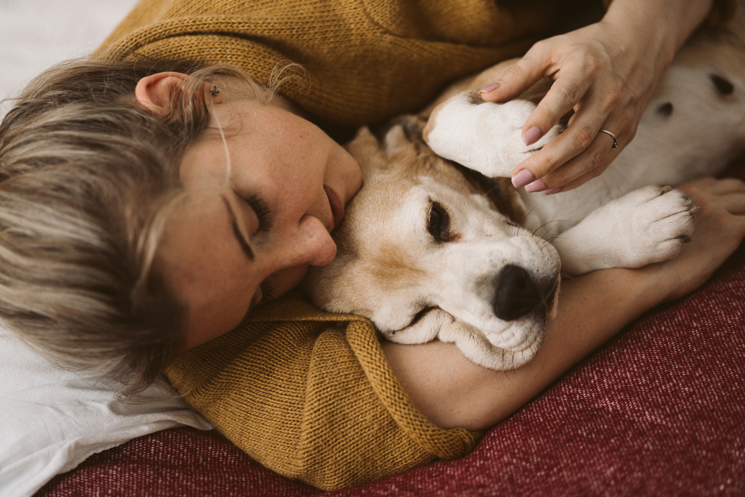 Номінації. MyPetPhotoAwards