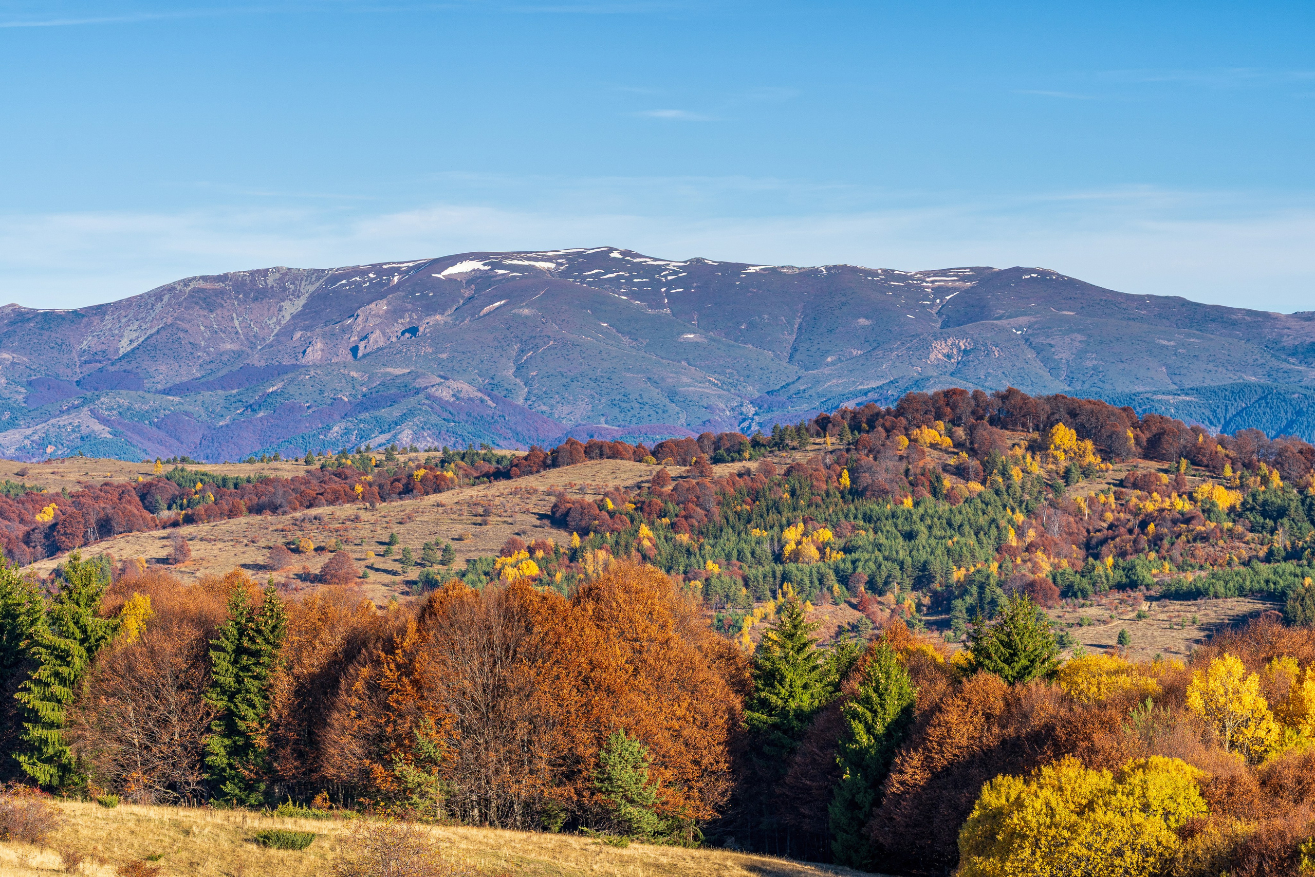 Първа Пушка Trail
