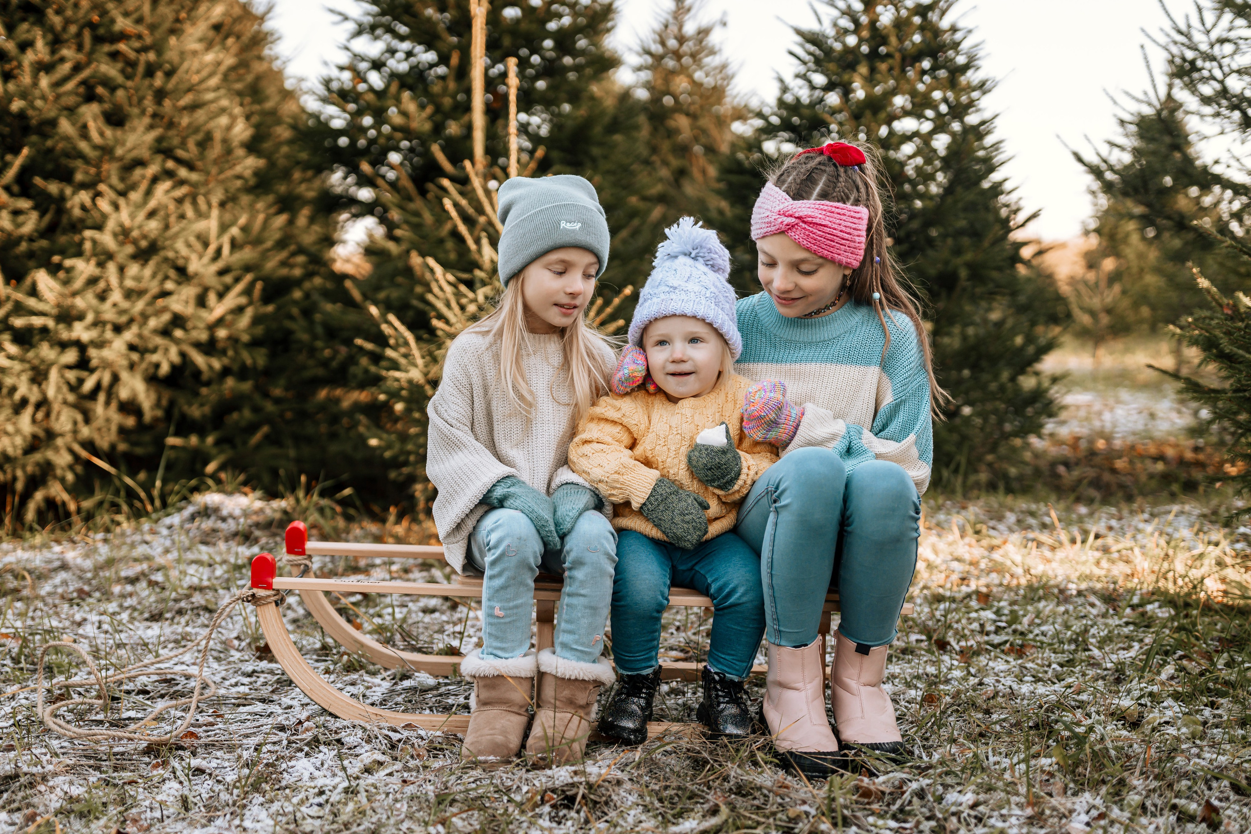 Ziemassvētku fotogrāfija. Home