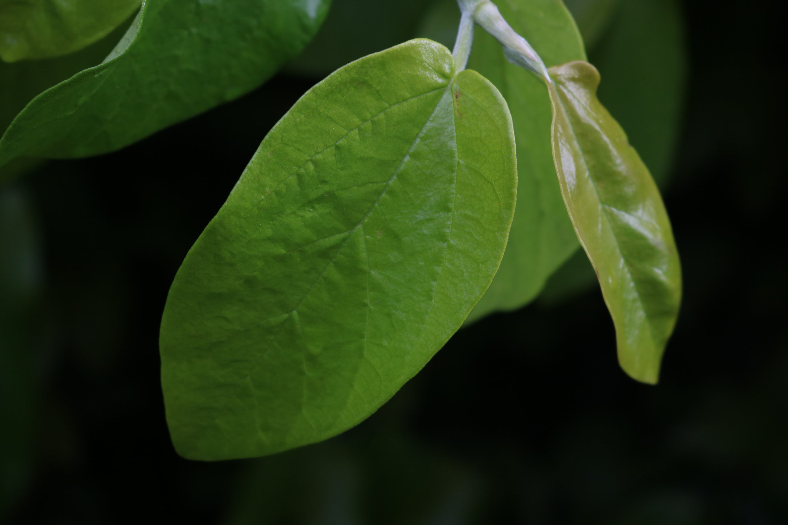 Poder interior. Proyecto fotográfico