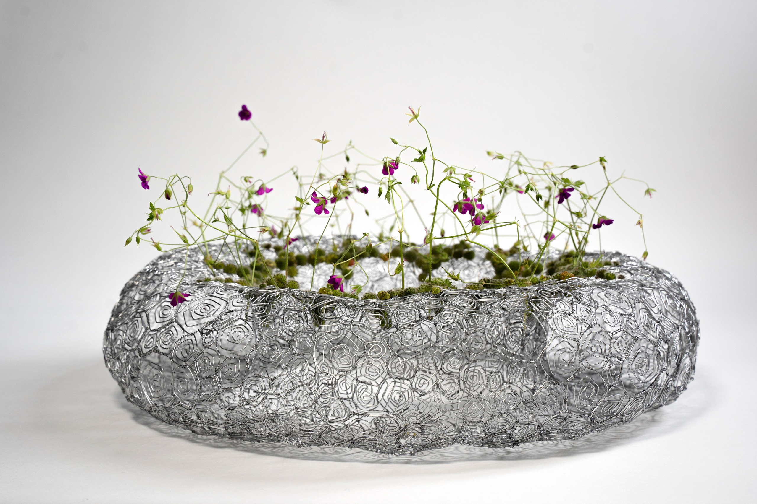 Produktna. Фотограф и видеограф Мария Бортякова из Словении: событийная, портретная и видеосъемка по всей Словении