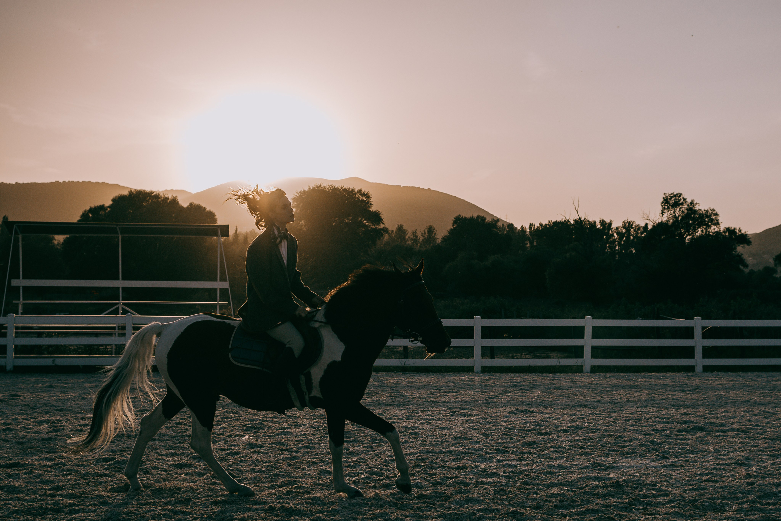 Free Guide on What to Expect on Your Equestrian Photoshoot. Lidia Golovina, Photographer in Tbilisi