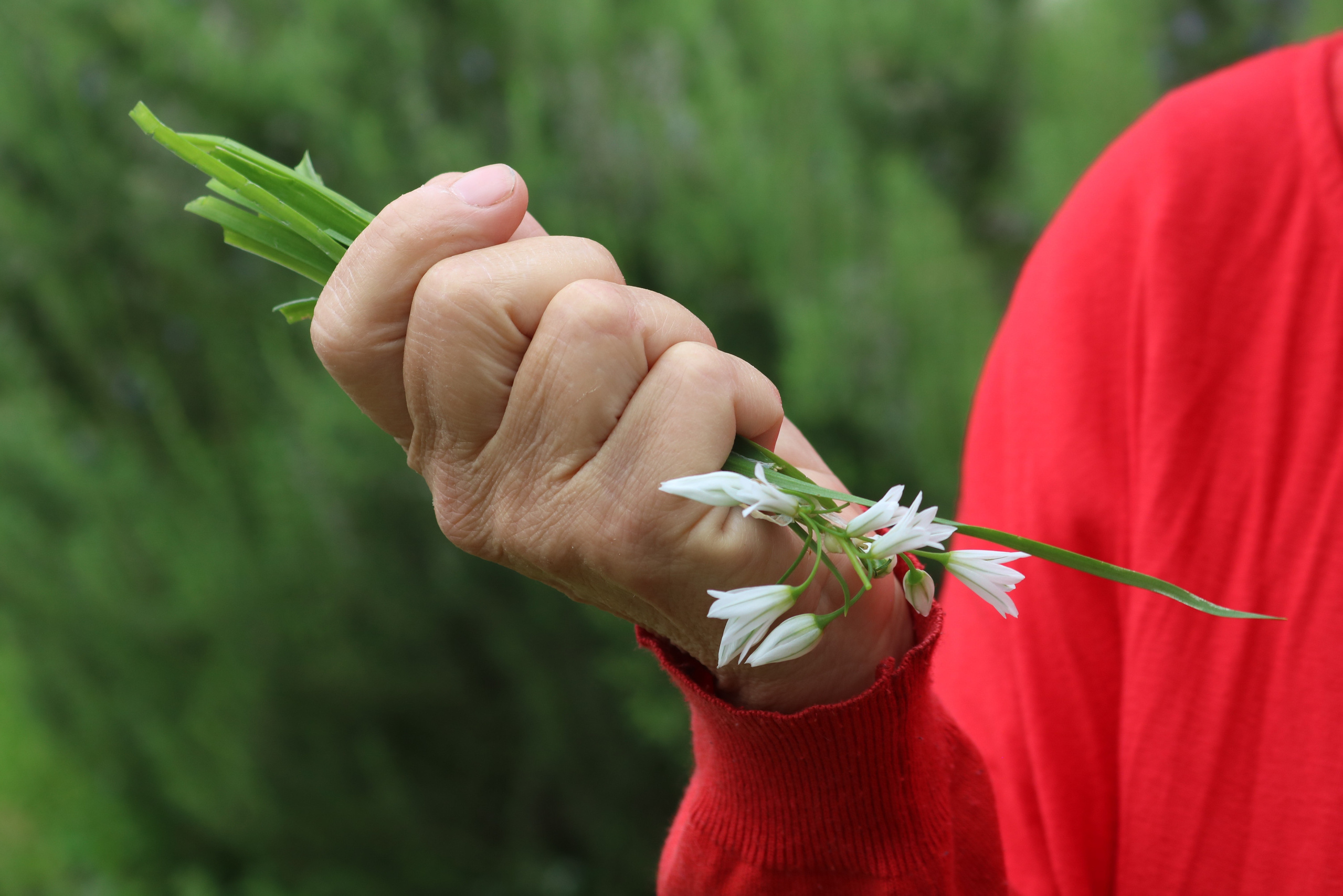 Poder interior. Proyecto fotográfico