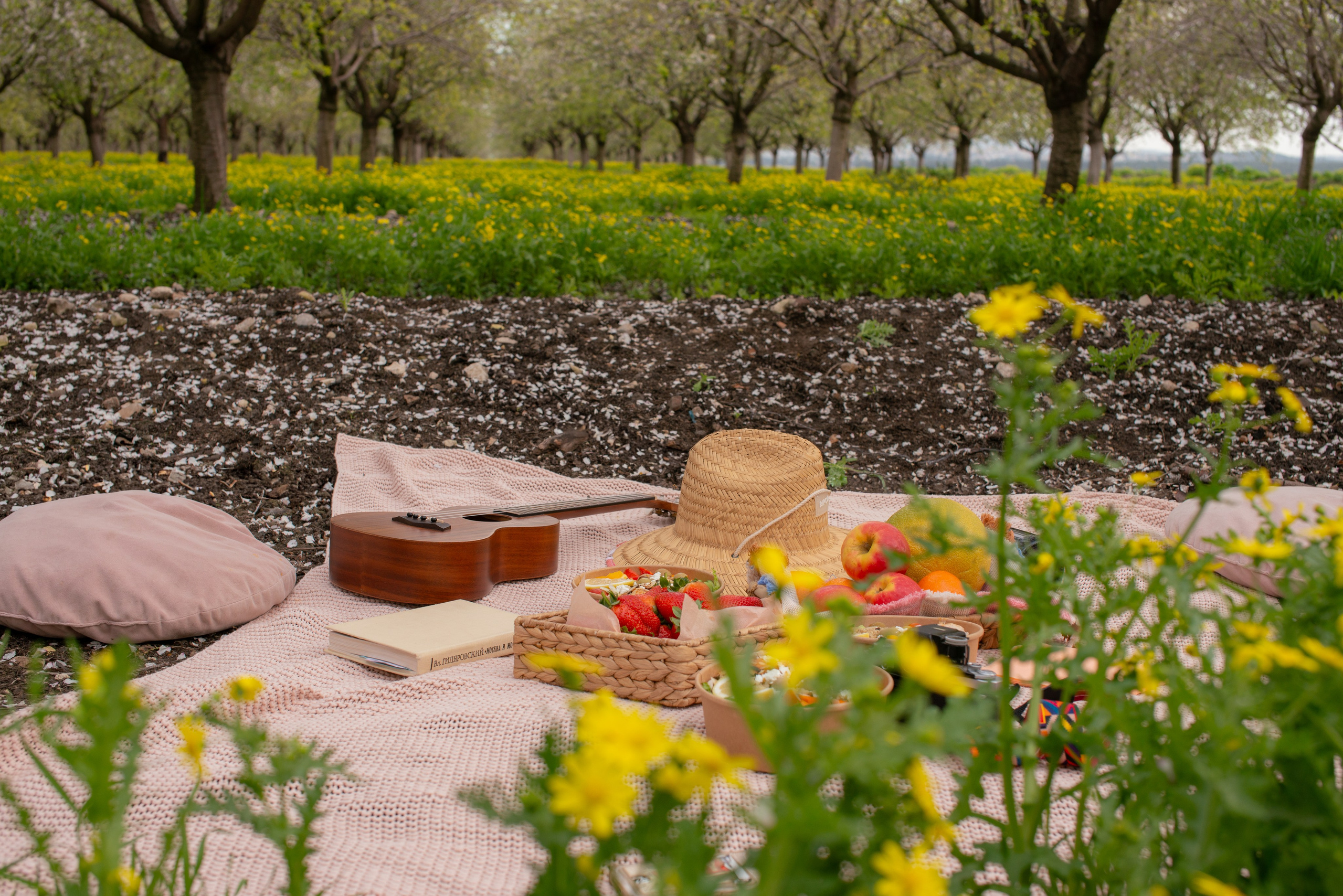 Blooming photoshoot. Dina Solomina | Photographer in Israel