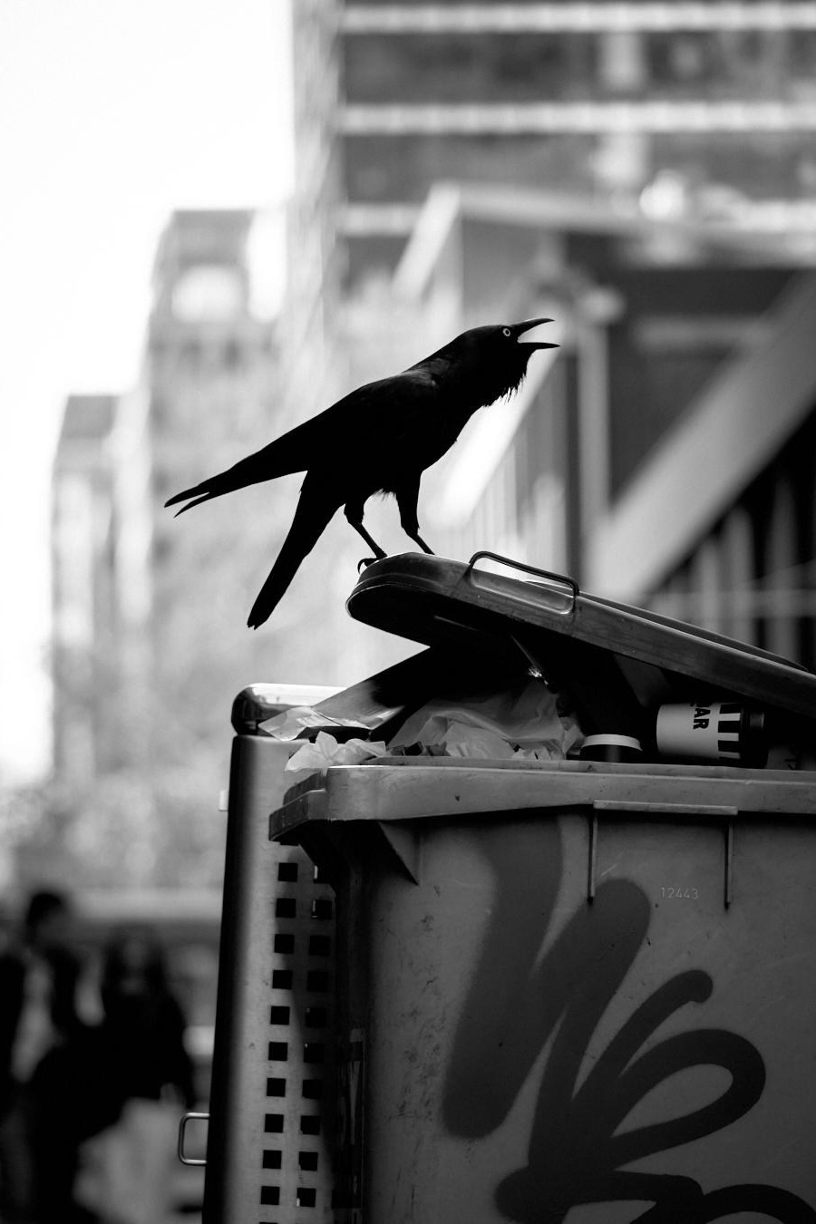 HD Metal Prints. CARTER BNW