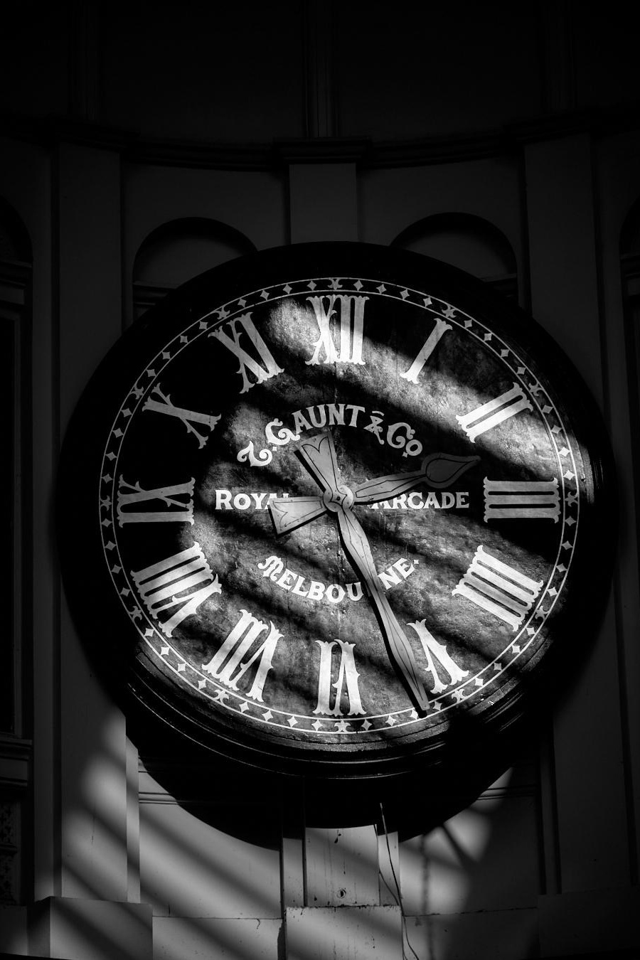 HD Metal Prints. CARTER BNW