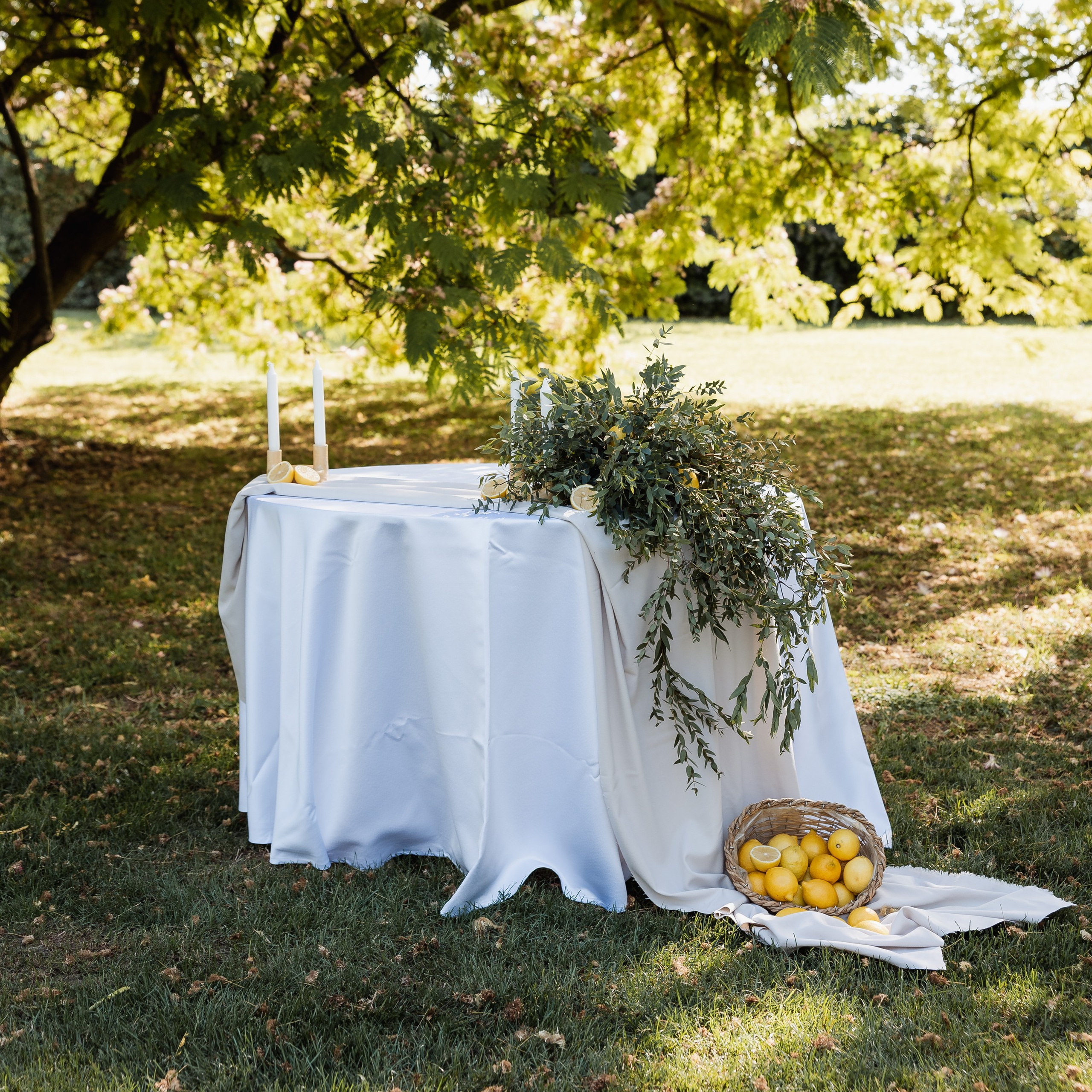 Venčanja na otvorenom – sloboda, emocije i savršeno svetlo. Wedding Photography And Film Studio Photo Factory