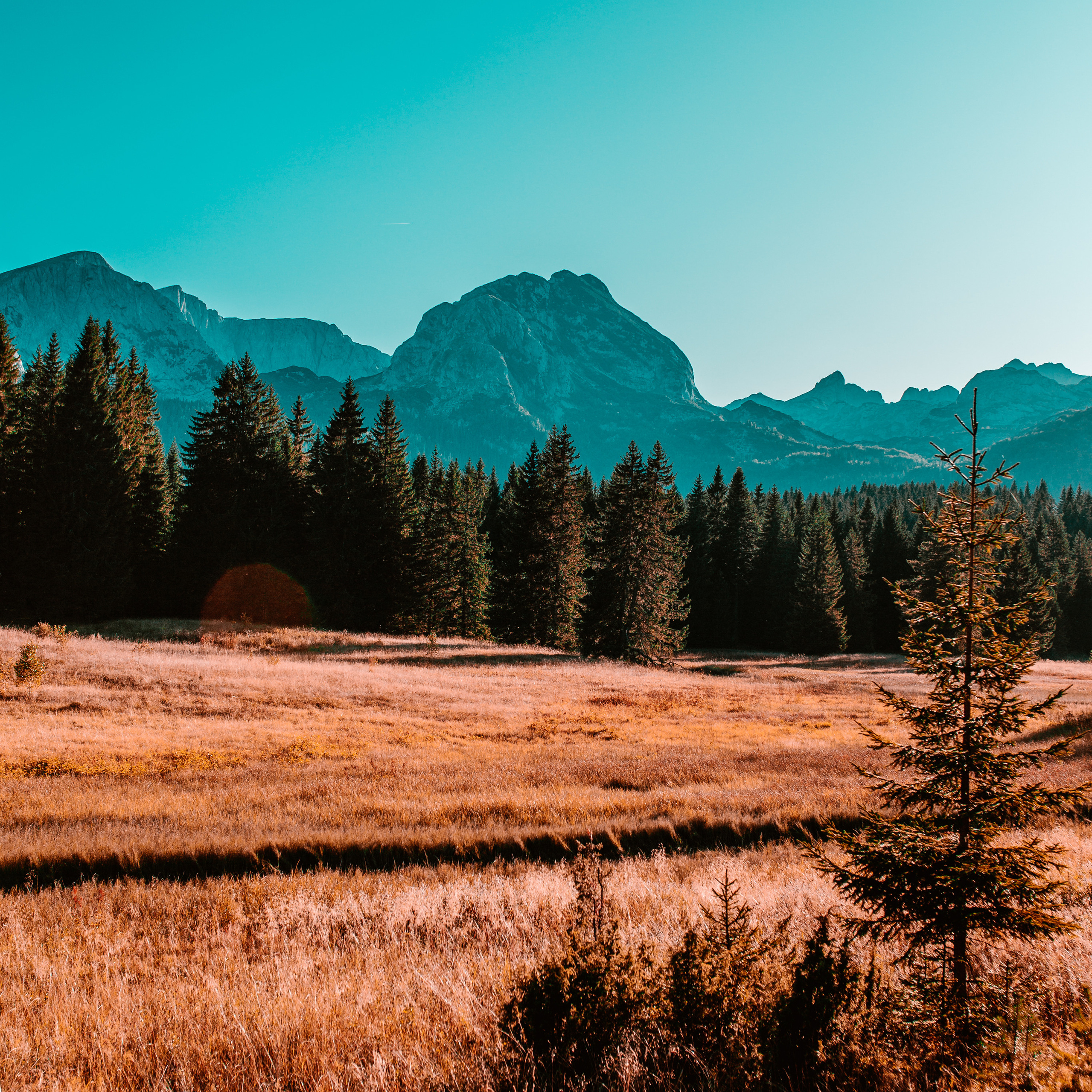 Osnove Lightroom/ACR foto obrade za fotografe entuzijaste i početnike. Mark Smilyanic | Portretni boudoir fotograf iz Beograda