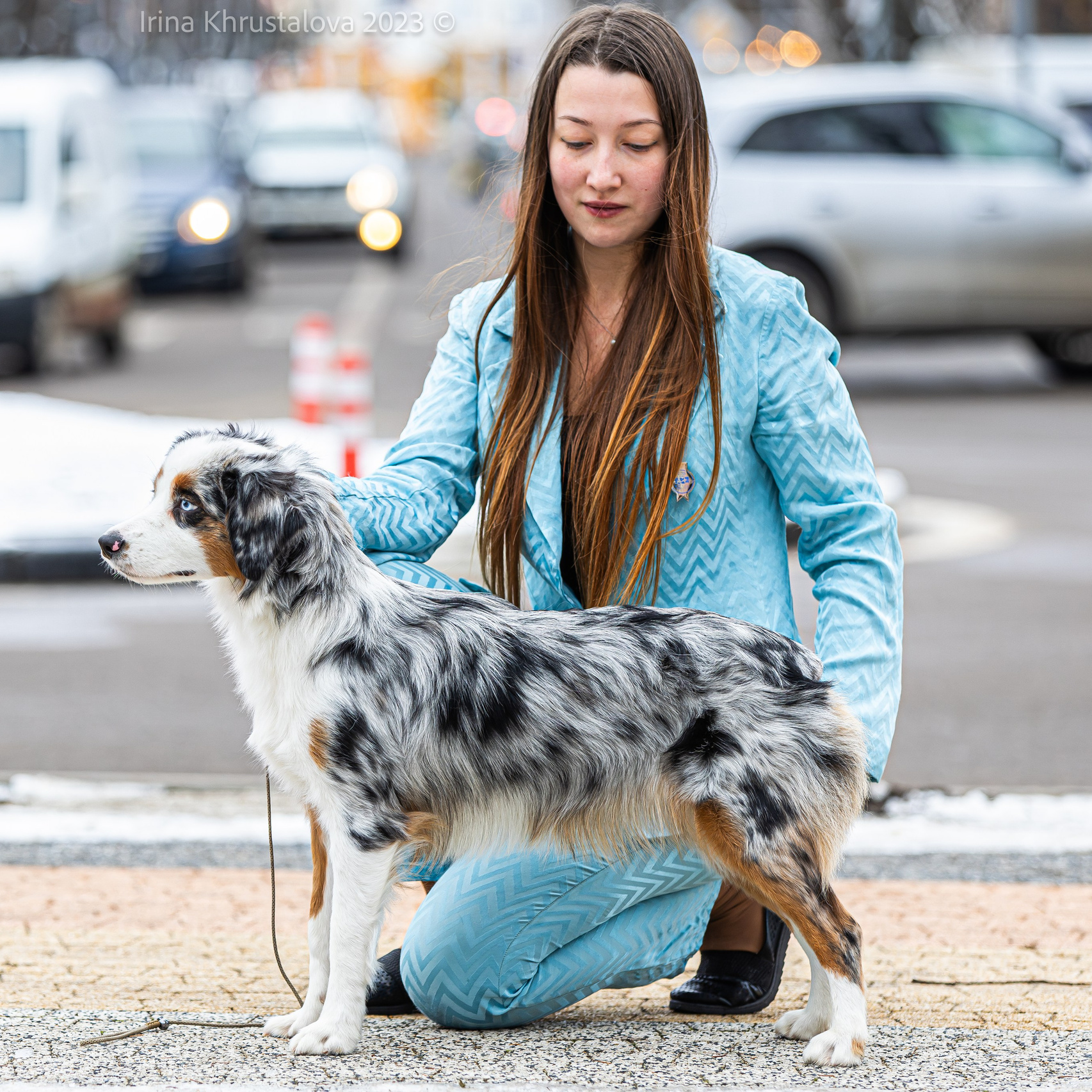 Анімалістика. Репортажний фотограф/анімаліст КИЇВ