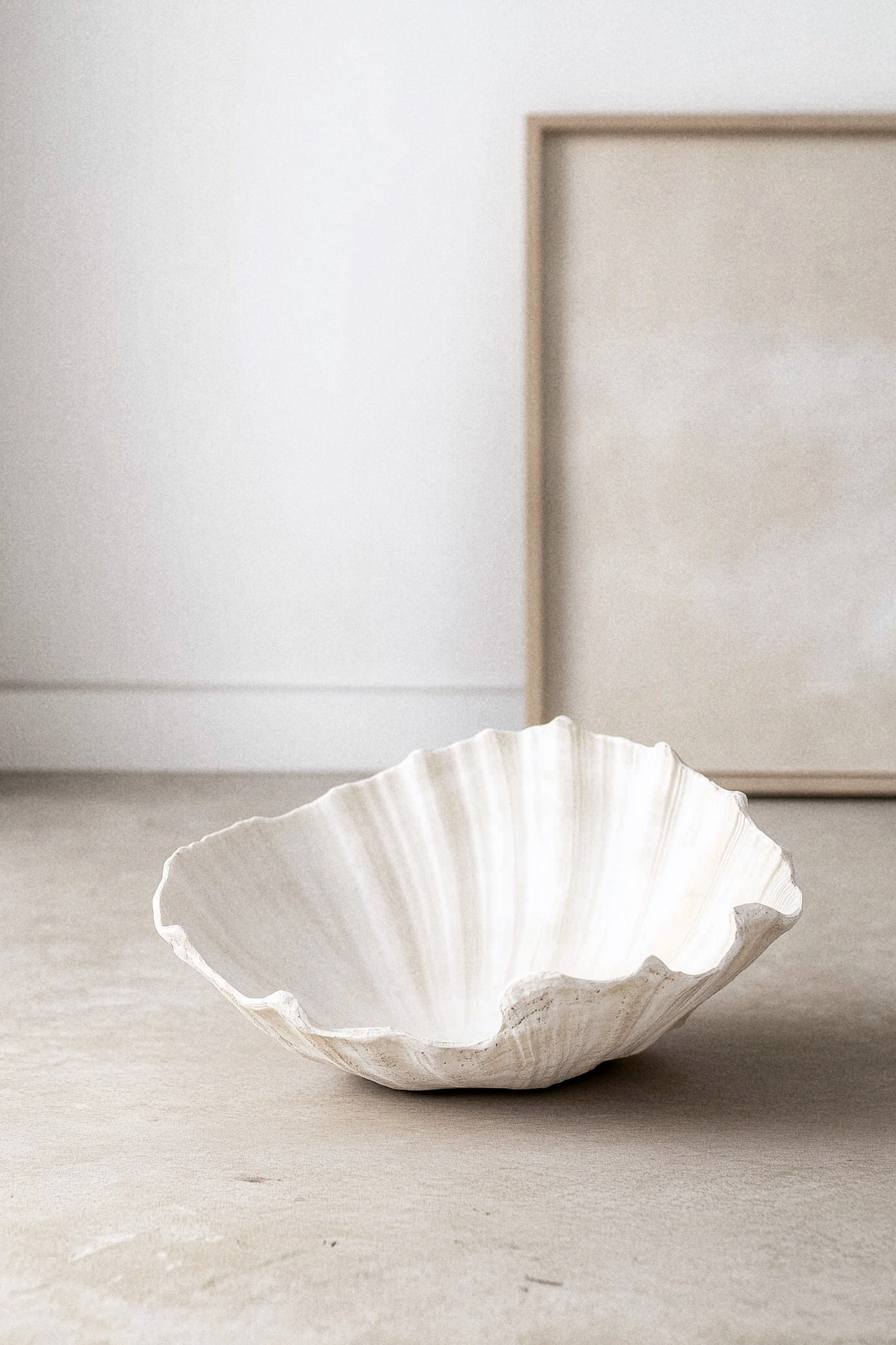 Product Photography