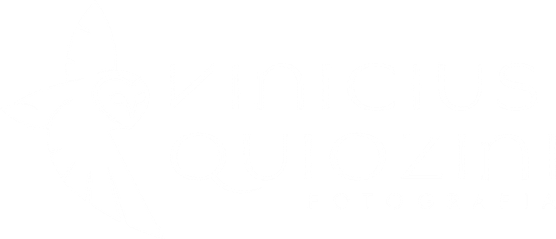viniciusquiozinifotografia.wfolio.pro