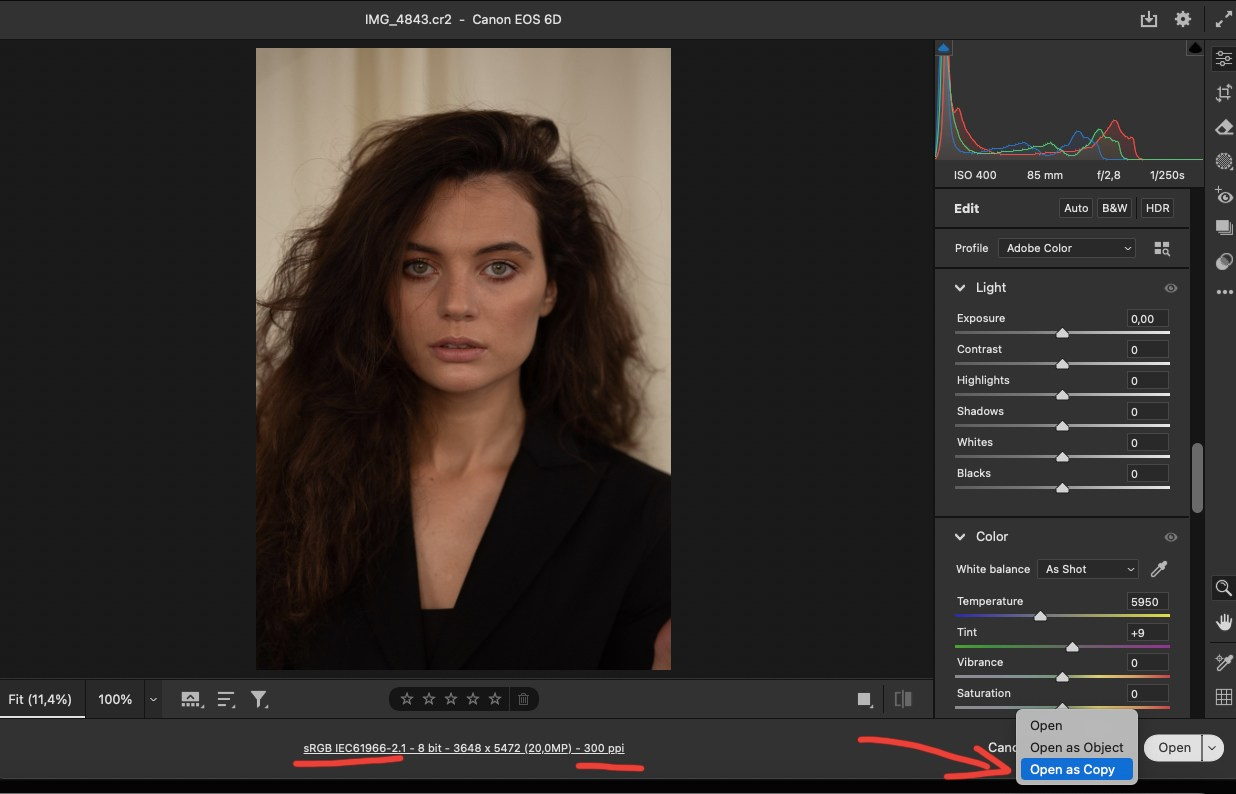 Retouching Training/Headshot Retouching Algorithm. AI Photo Retoucher and Image Restorer Zhanna Ognivo
