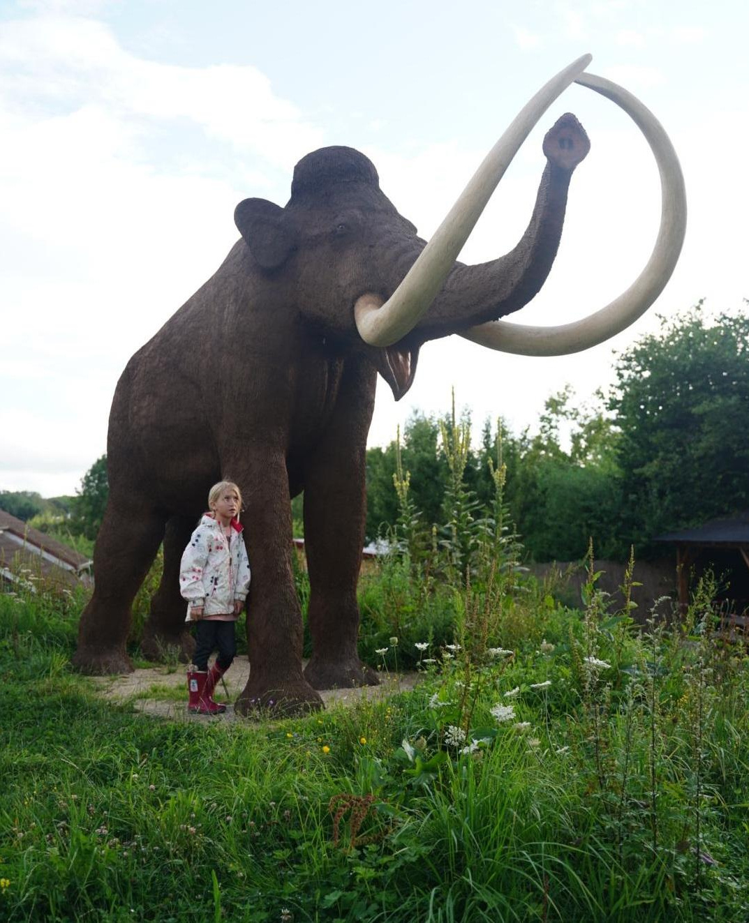 «Первобытные люди» в Доломитах, июль–август 2024 год. Семейные лагеря в Европе с Ниной Янечковой и Ириной Зиновьевой