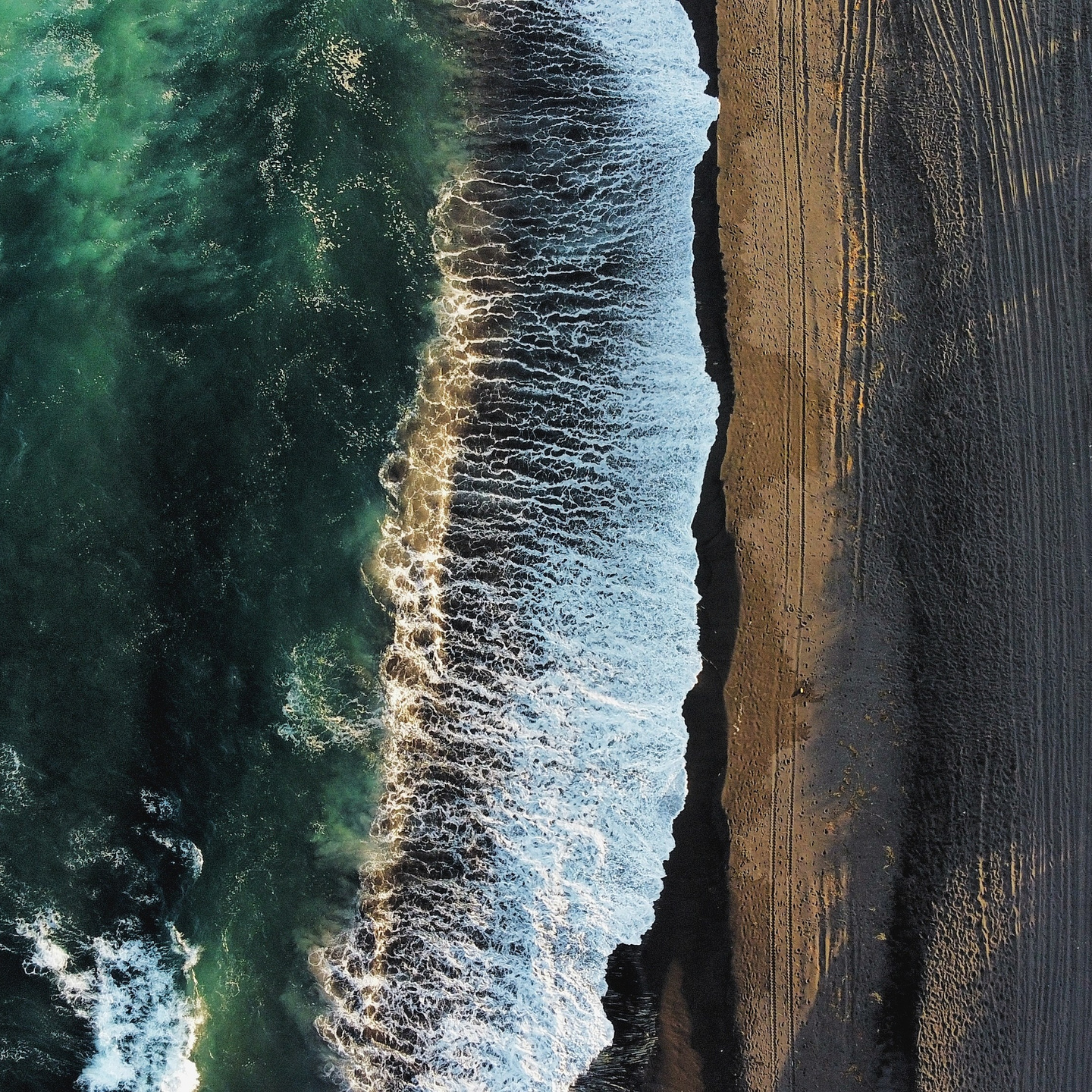 Services. Vitalii Krepak — Gonzo Fotografie