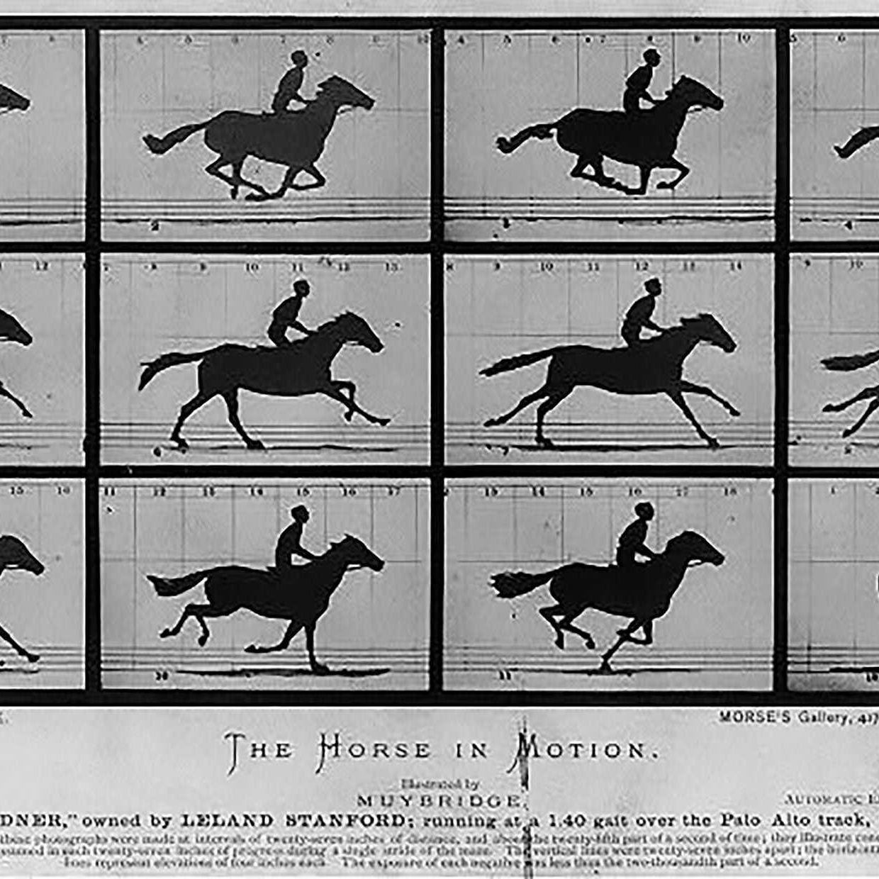 Эдвард Майбридж, Лошадь в движении (The Horse in Motion), 1878 год — серия последовательных фотографий бегущей лошади и всадника, хронофотография, исследование движения, ранняя история кино и фотографии.