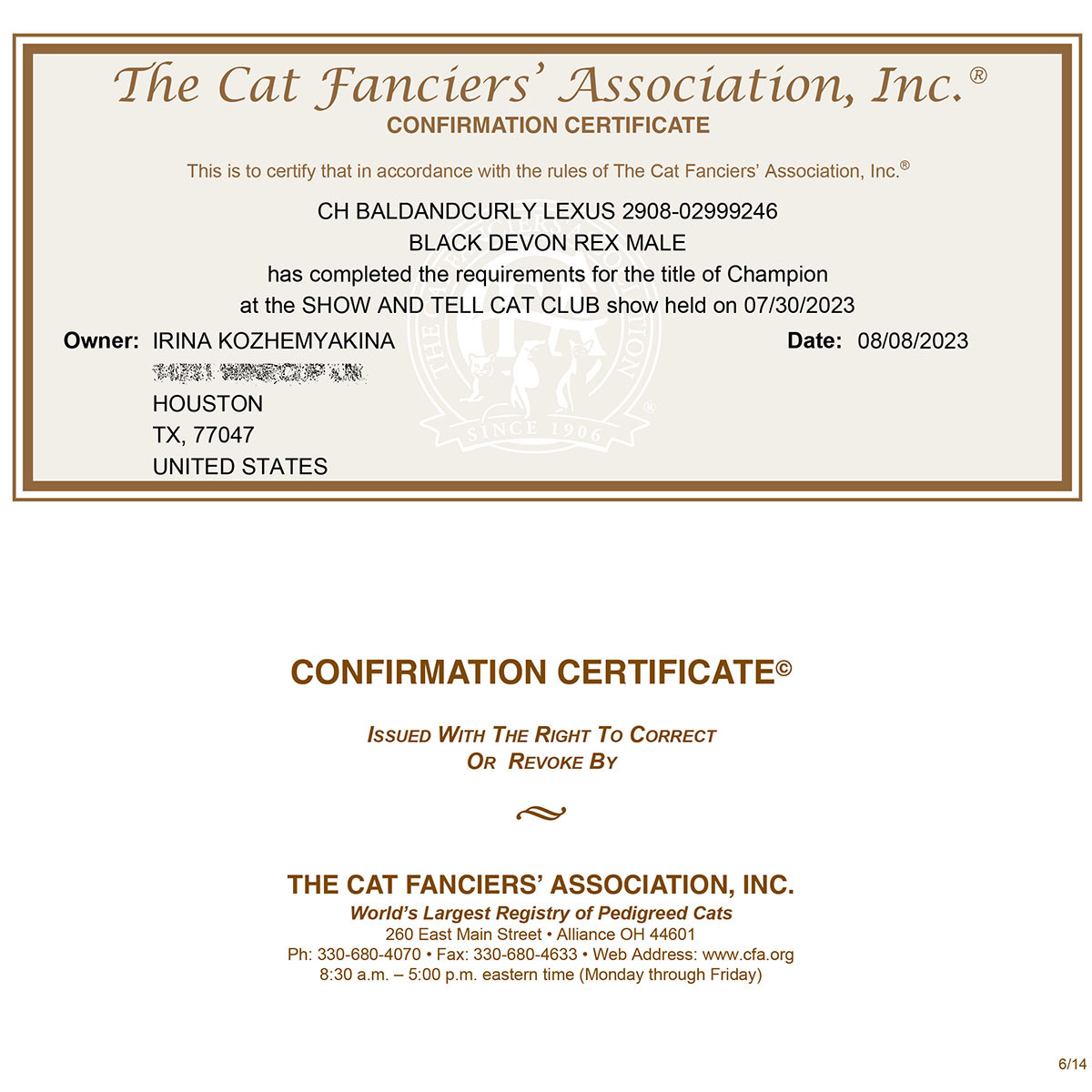 Lexus certificate. Devon Rex Pixie Cattery