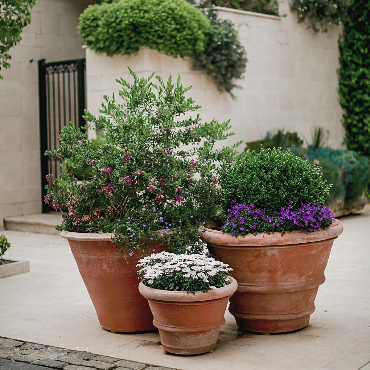 Porto Montenegro - en del av det virkelige Europa på Balkan