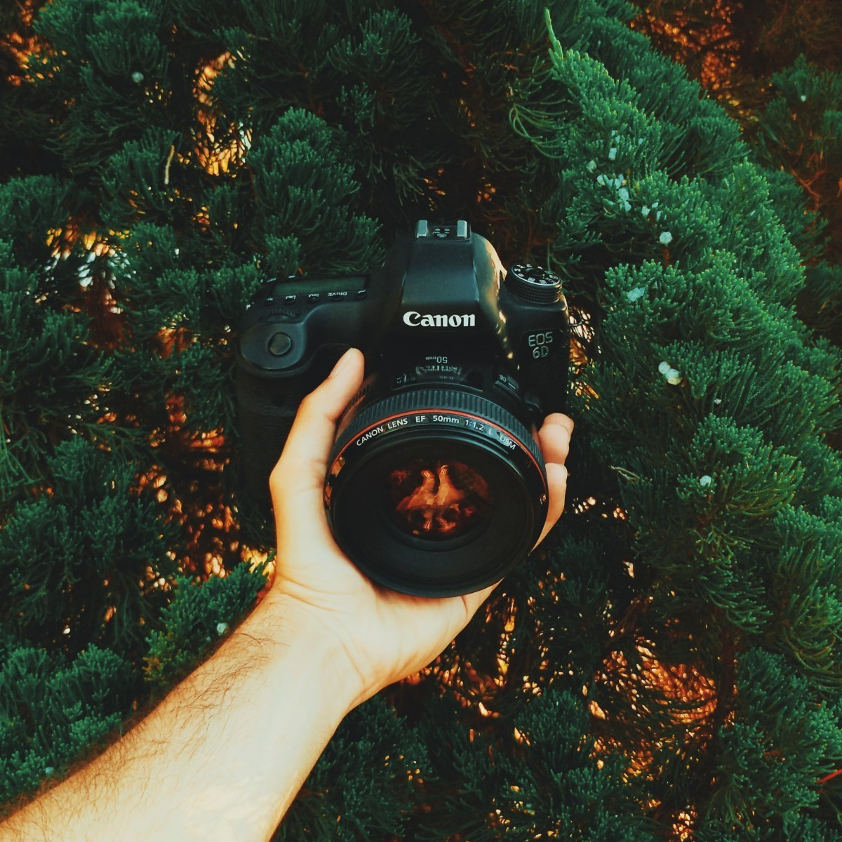 ЯК ПРАВИЛЬНО ВИБРАТИ ФОТОАПАРАТ. Фотограф Максим Остапенко | Кам'янець-Подільський | Львів | Київ