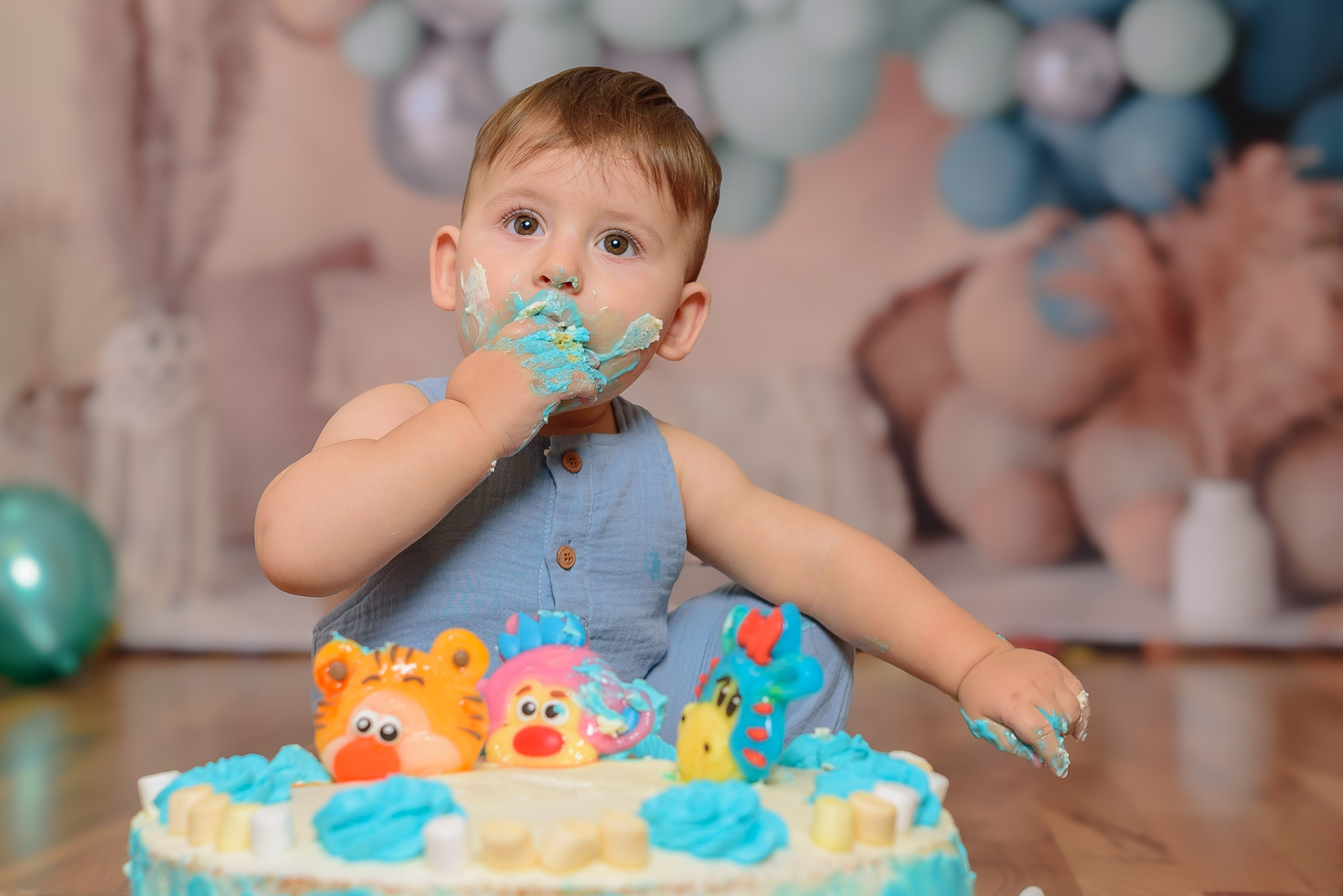 Smash Cake. Klausenburg Photography