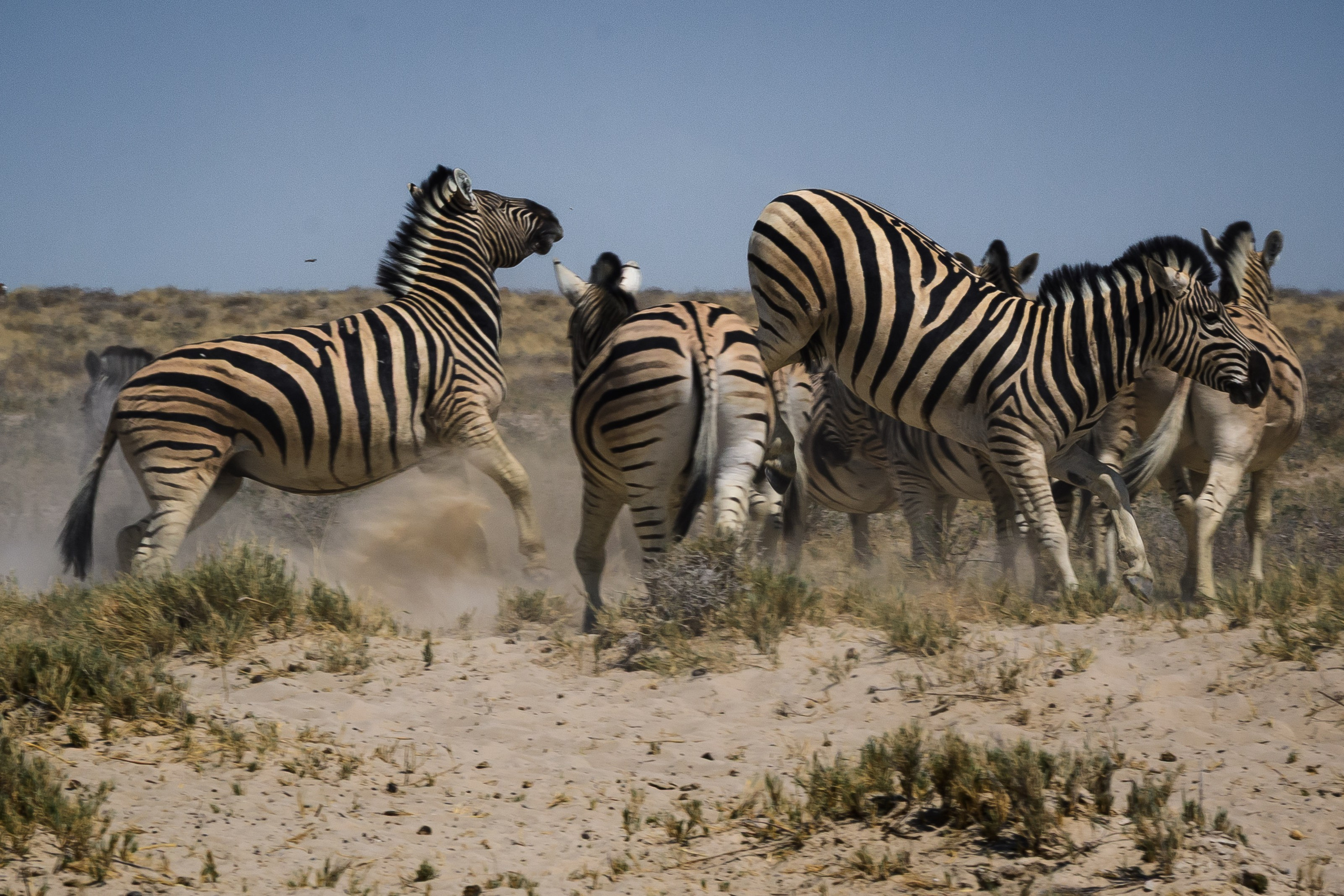 Travel. Klausenburg Photography