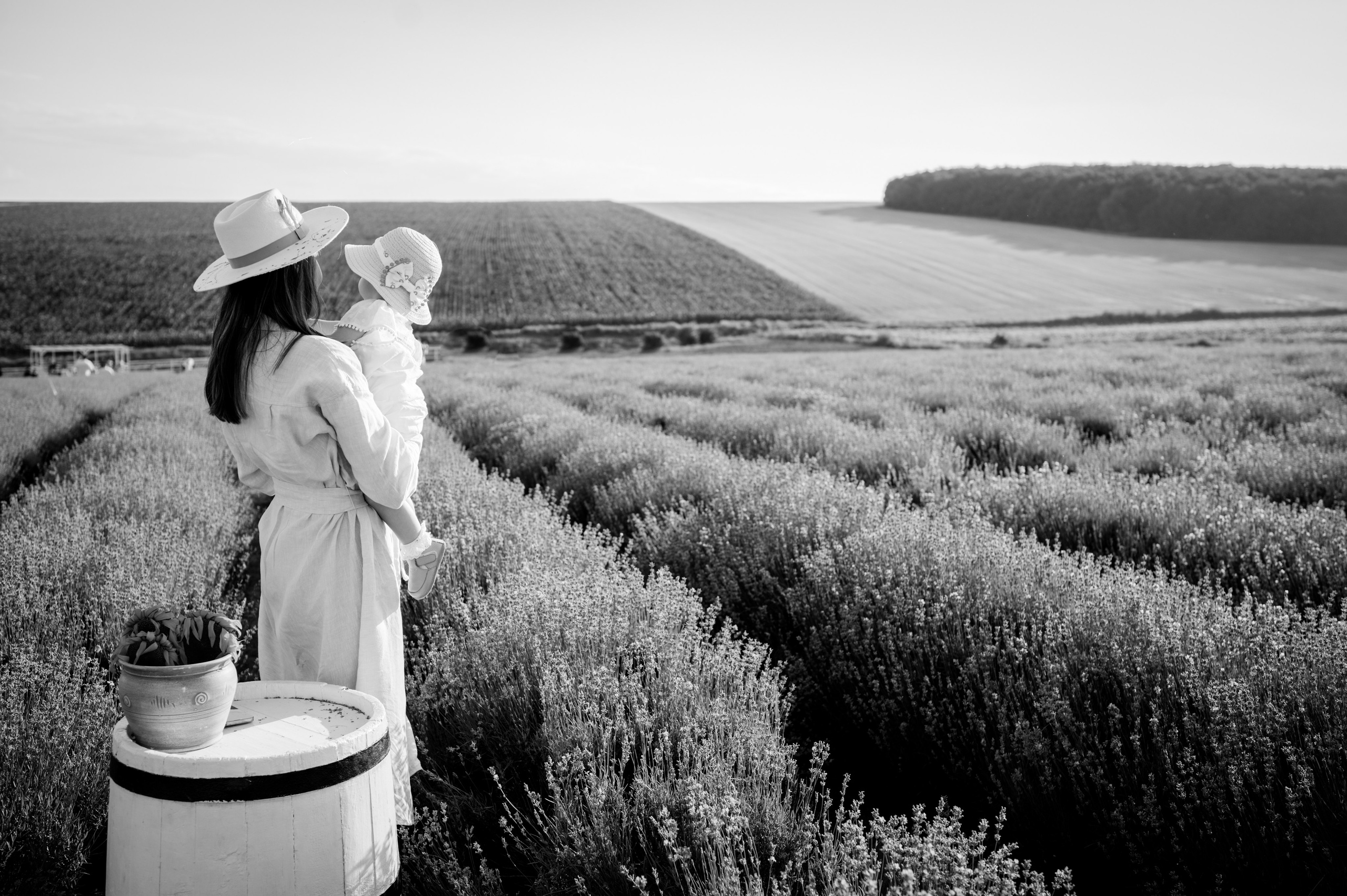 Mariusclaudiucojocaru.wfolio.pro