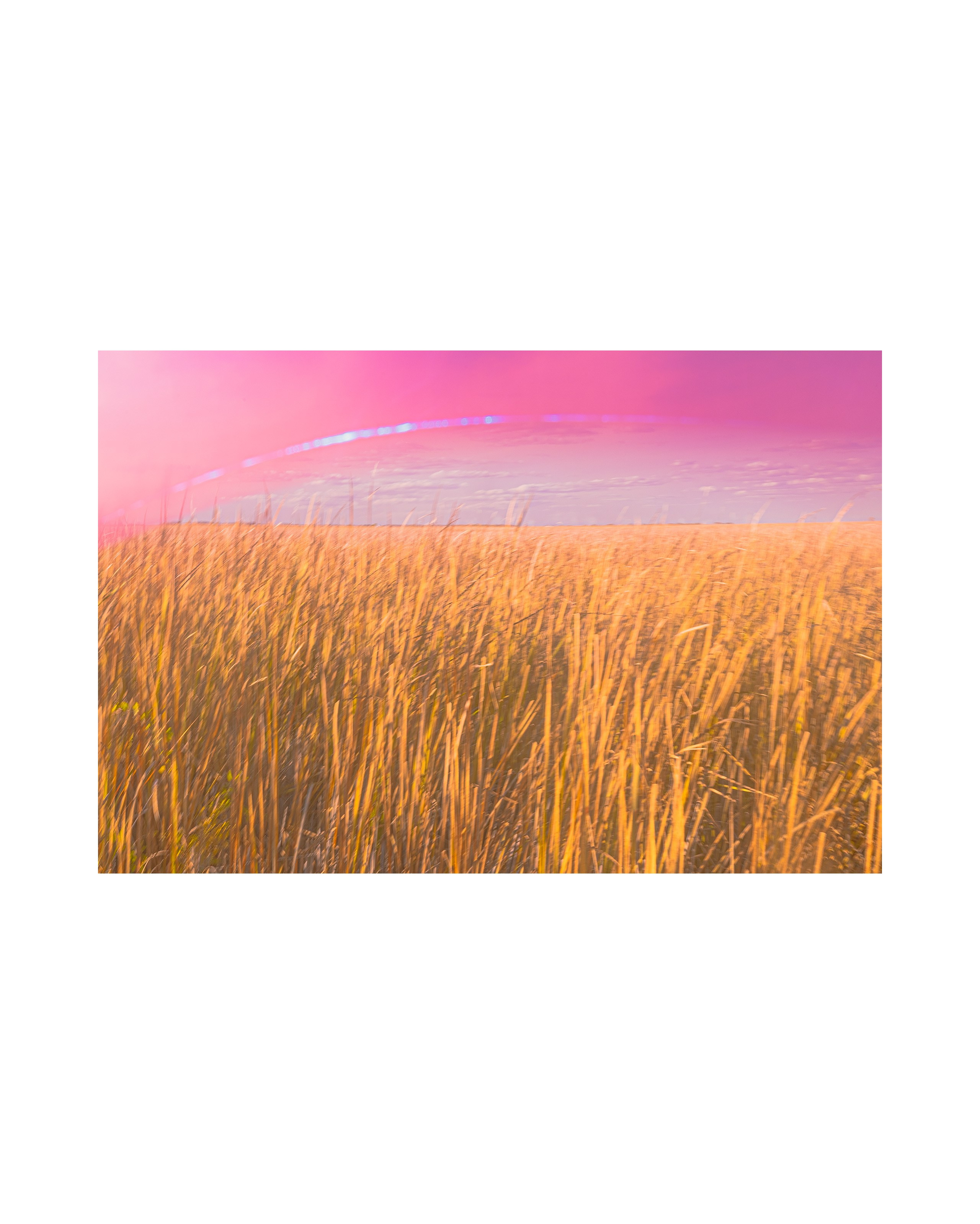 Nature from Exaggerated Worlds. Ekaterina Tsurkina-Appina Photography Canada