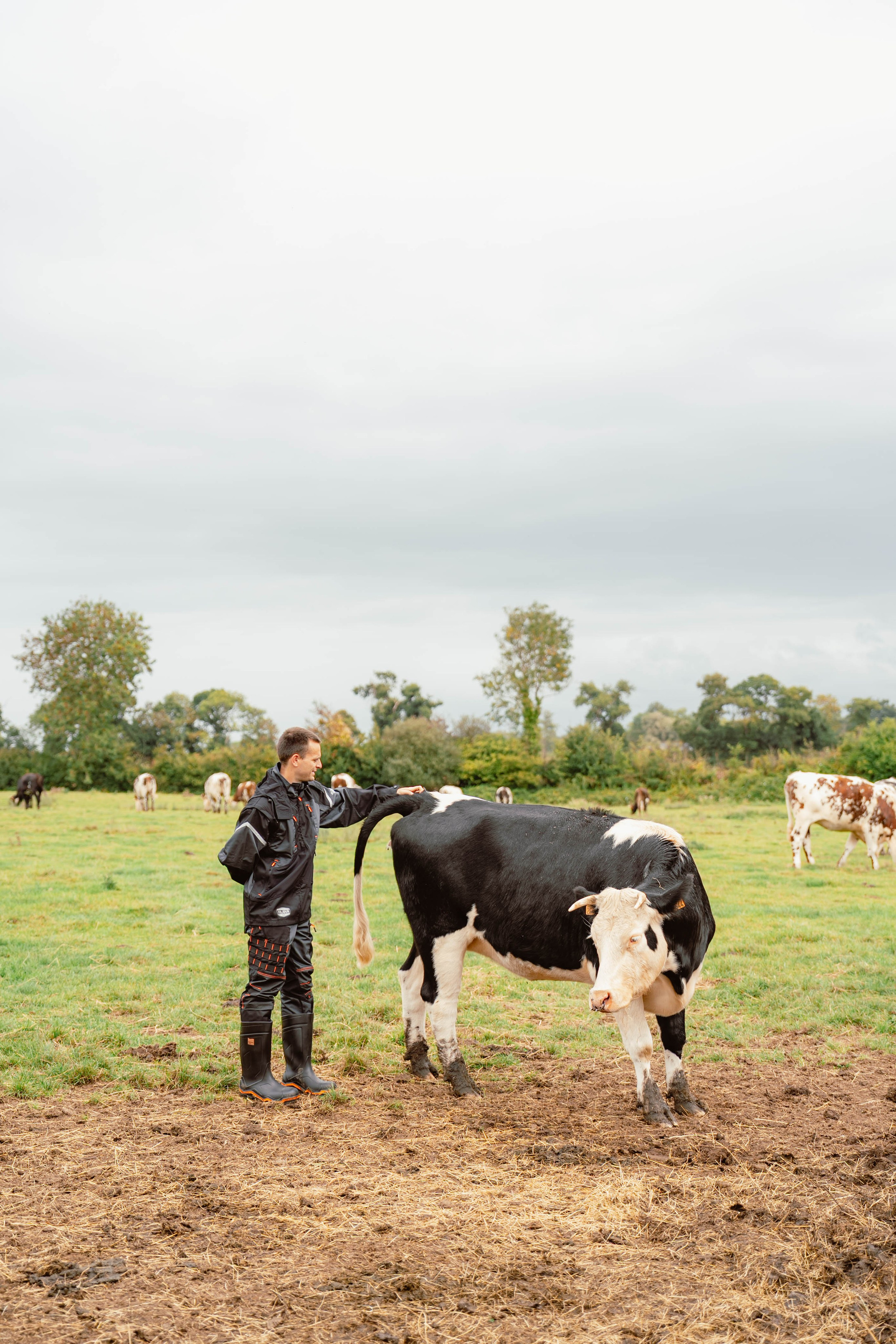 Solidur. Weeding photographer / event / portrait