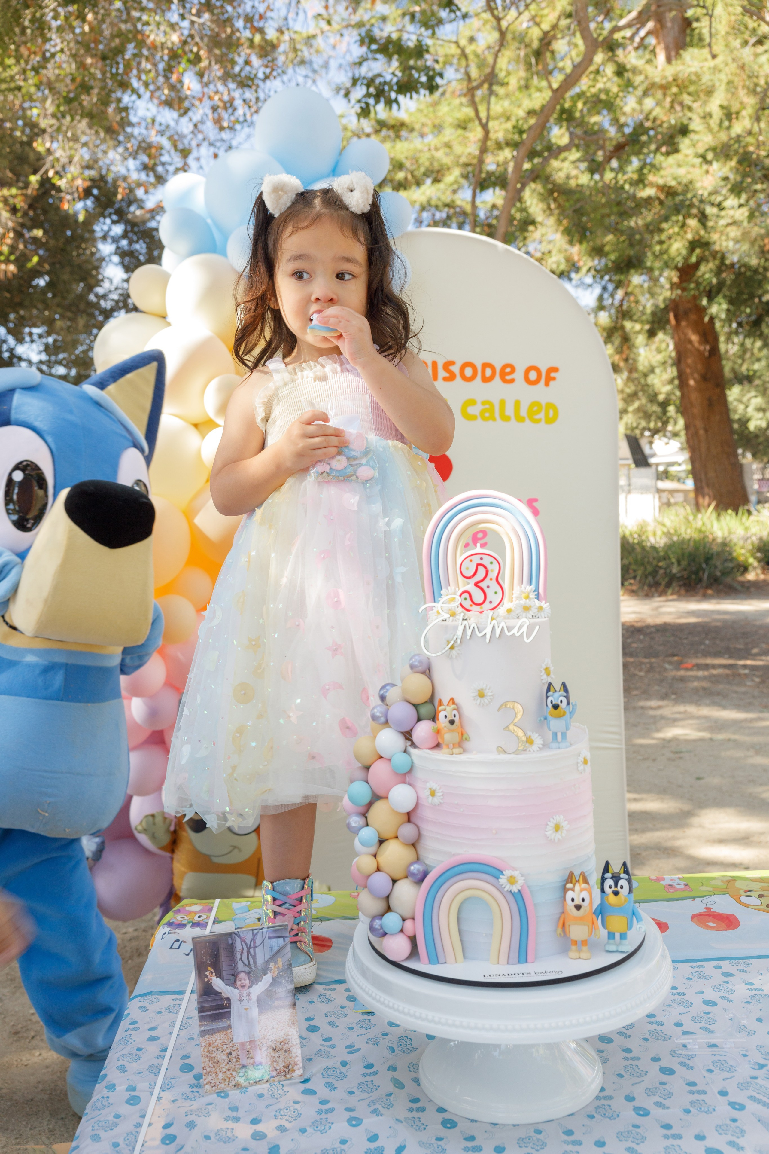 3rd birthday. Family and Event photographer in Bay Area Elena Tiuriumina