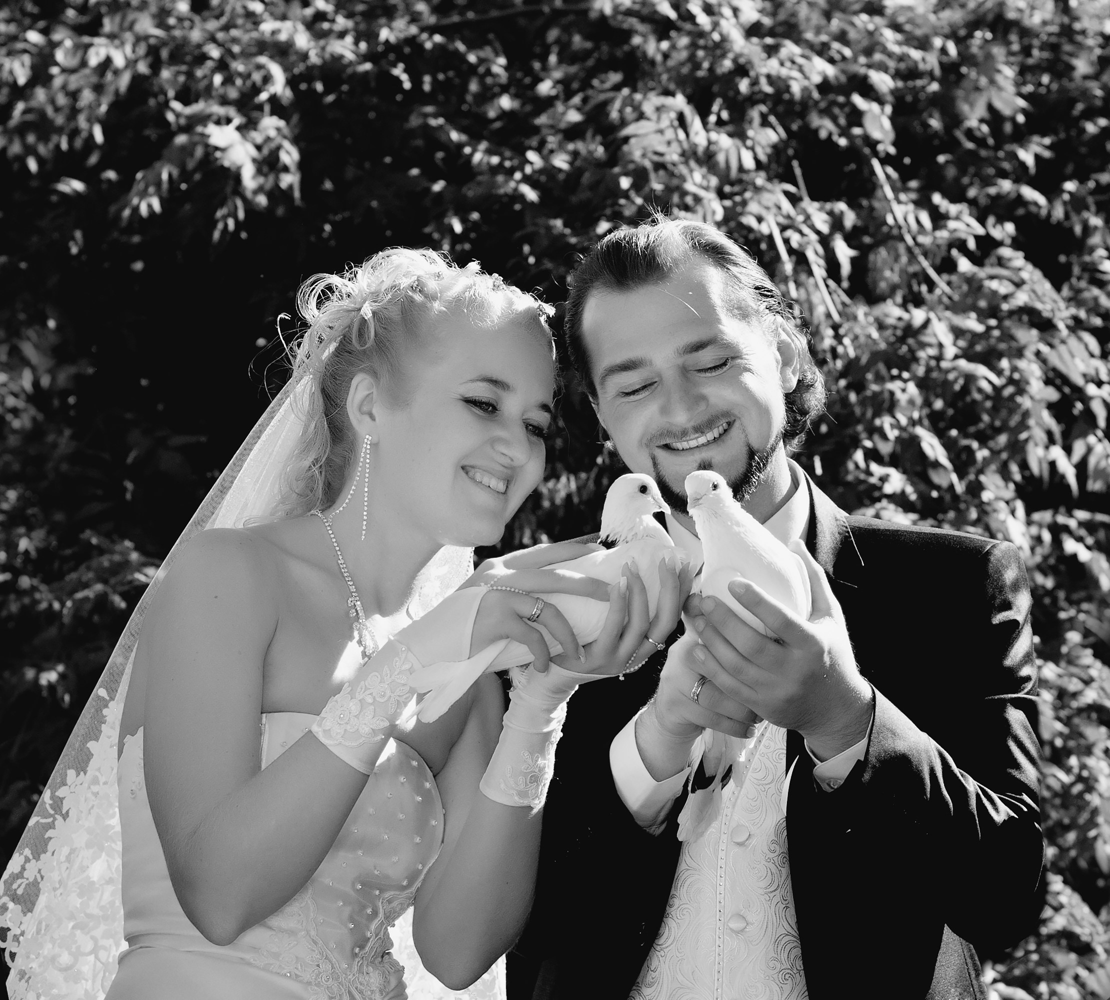 Свадьба Южноукраинск