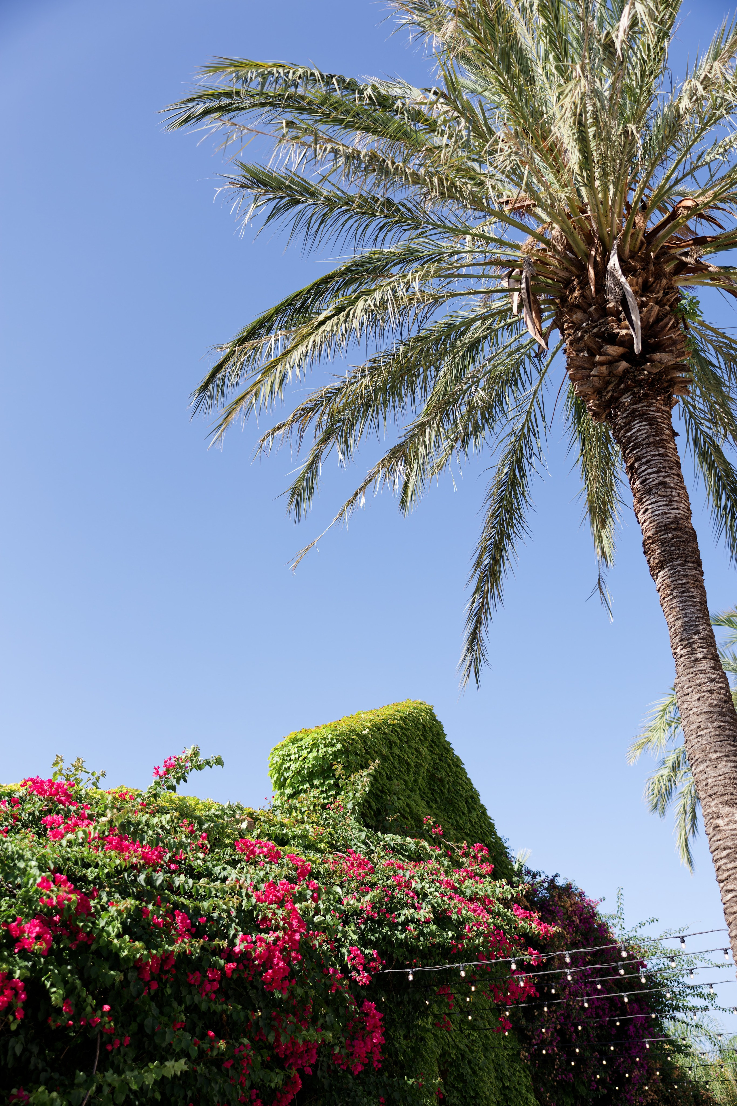 Wedding of Gracie & Joe at Gran Villa Rosa, Barcelona