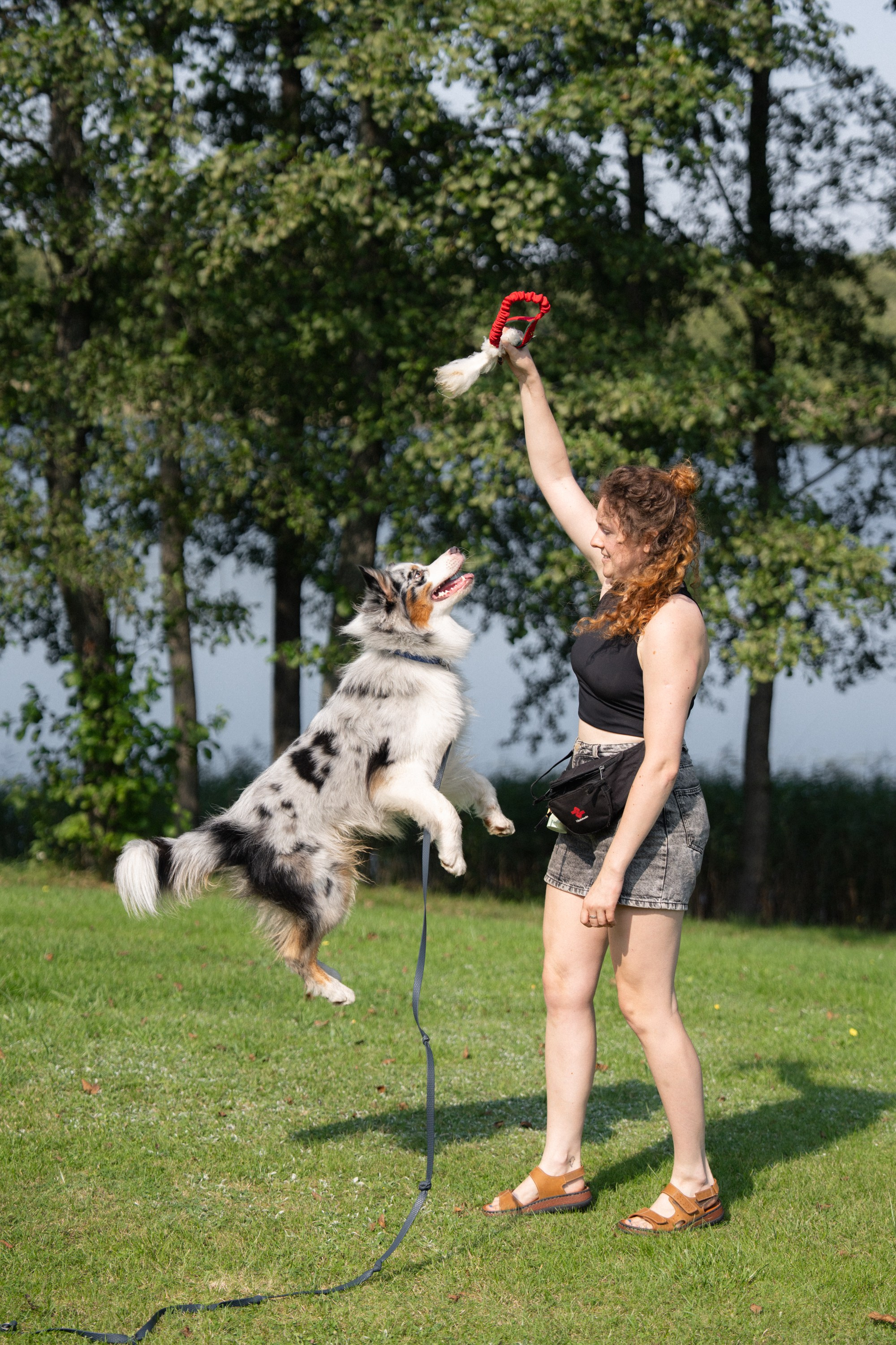 Heppi Dogo fest 2025. Vita Klimaševska ○ Fluffy Soulmate Photography