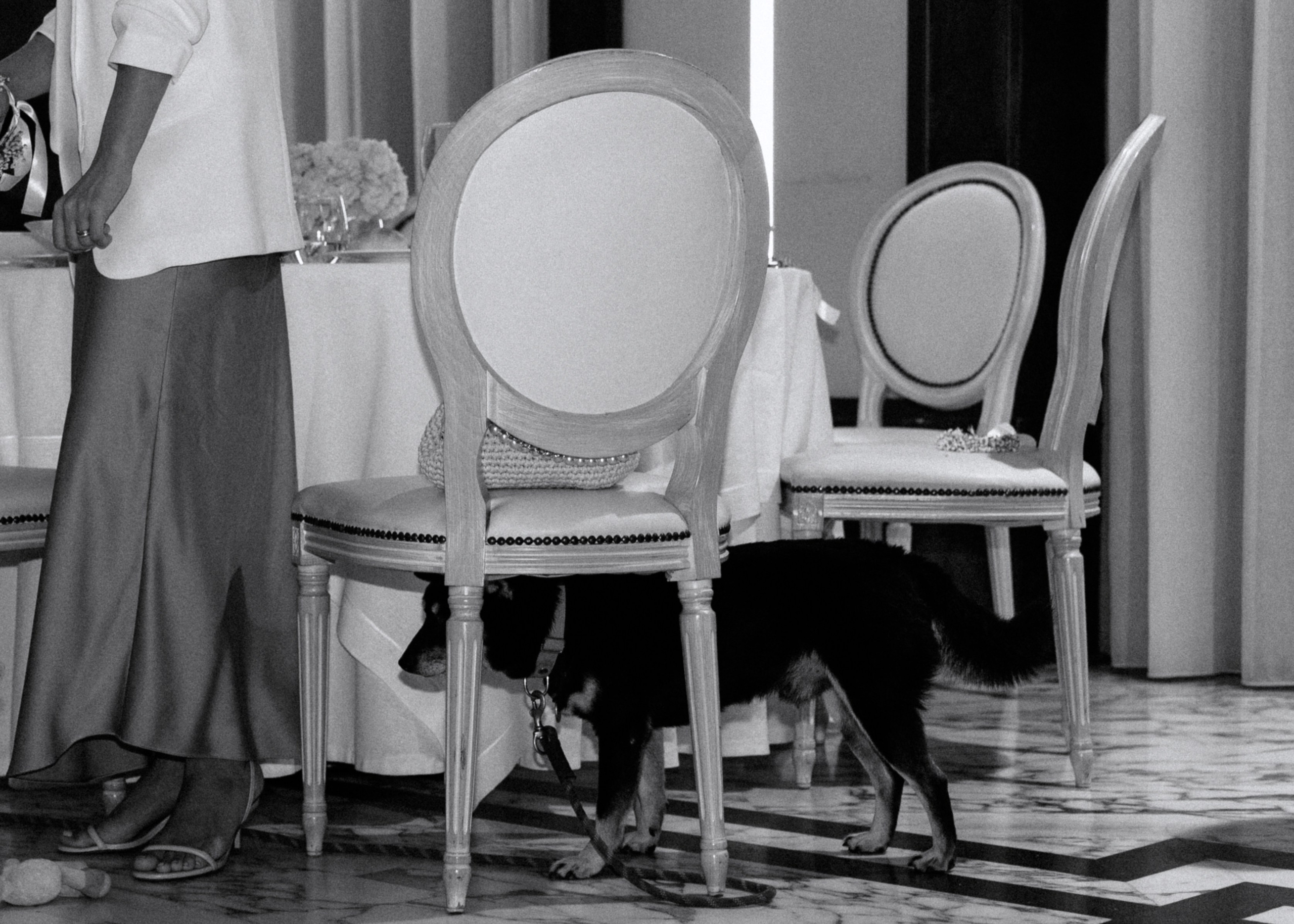 Domenico Svetlana. Дарина Иванова, лайфстайл фотограф в Неаполе. Портреты, свадьбы