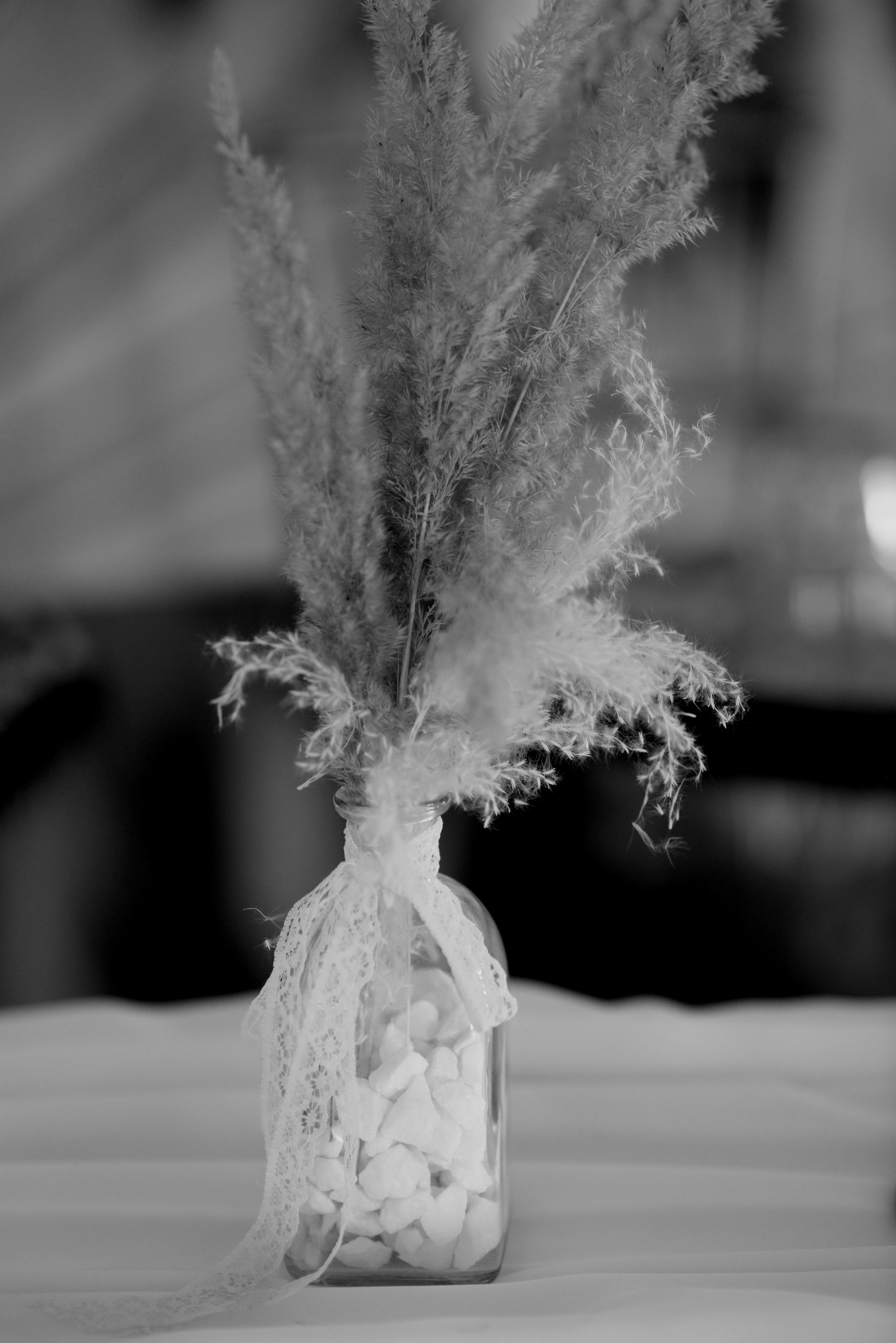 BYZO MEDIA. PETRU BYZO - family and children photographer in ROMANIA