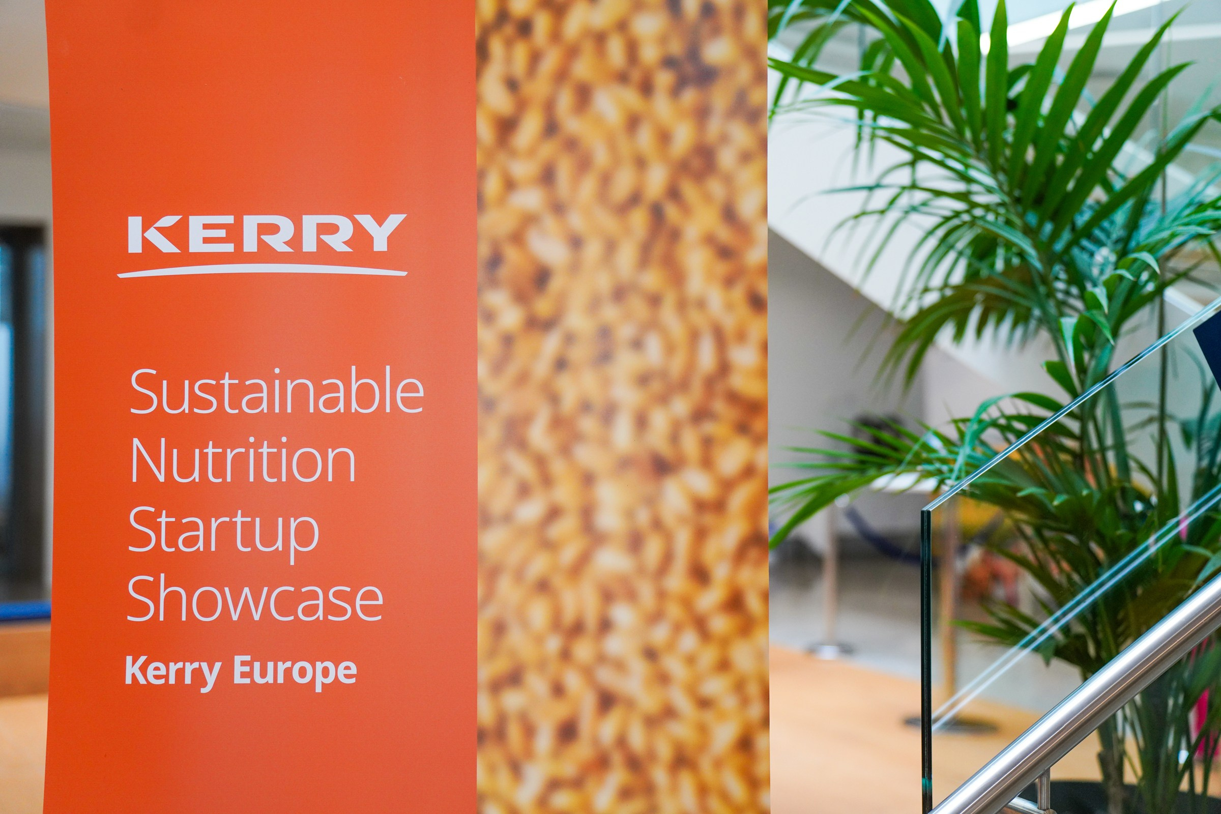 VIP events. Professional Photography, Videography, and Drone Services in Ireland