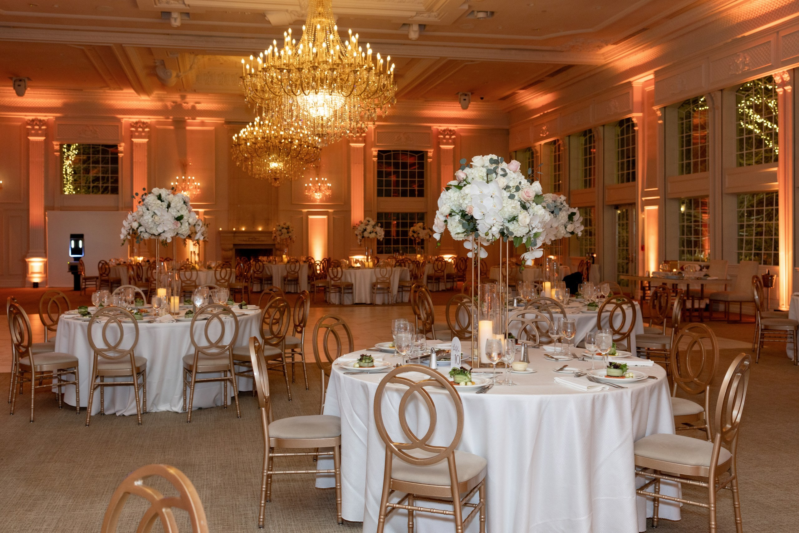 Isabel & Ross, Florentine Gardens. Wedding Photo & Video