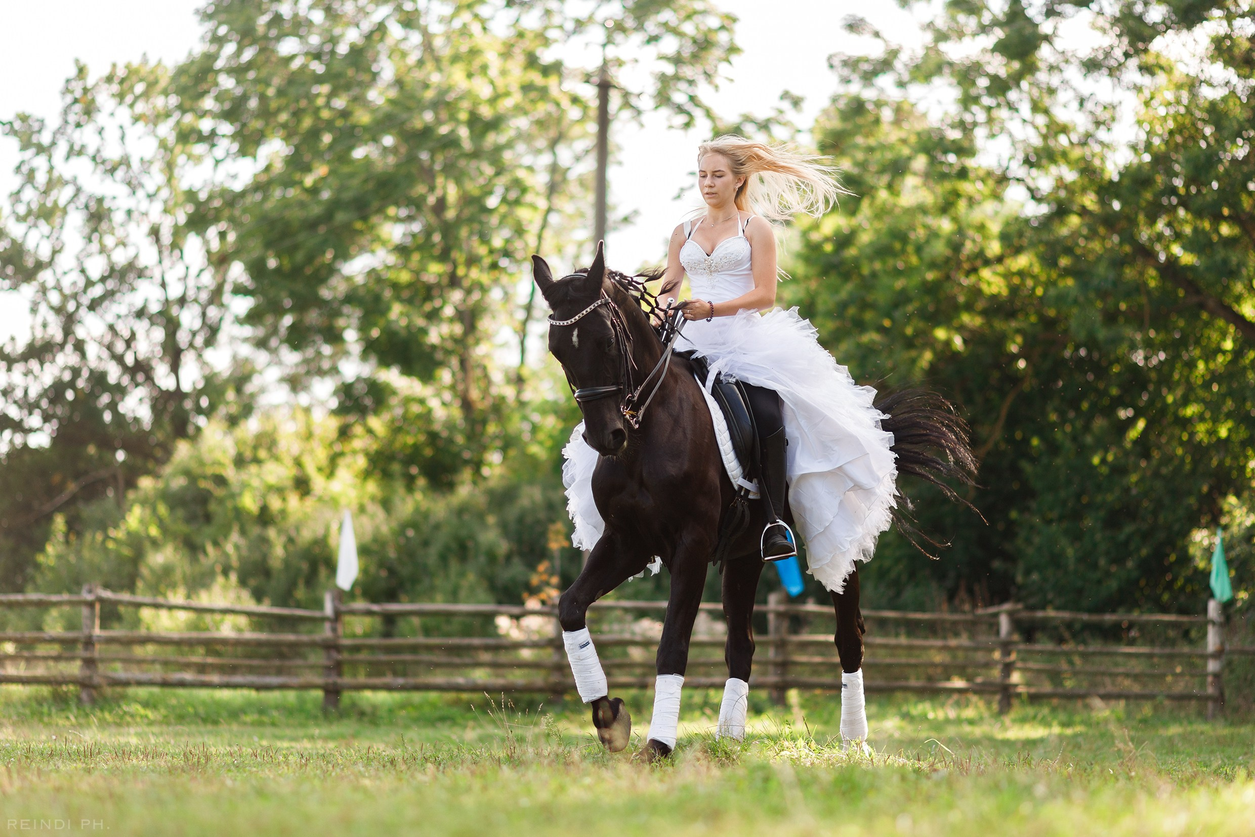 Horse show in the village. Kaja | fotograf we Wrocławiu | ludzie i psy