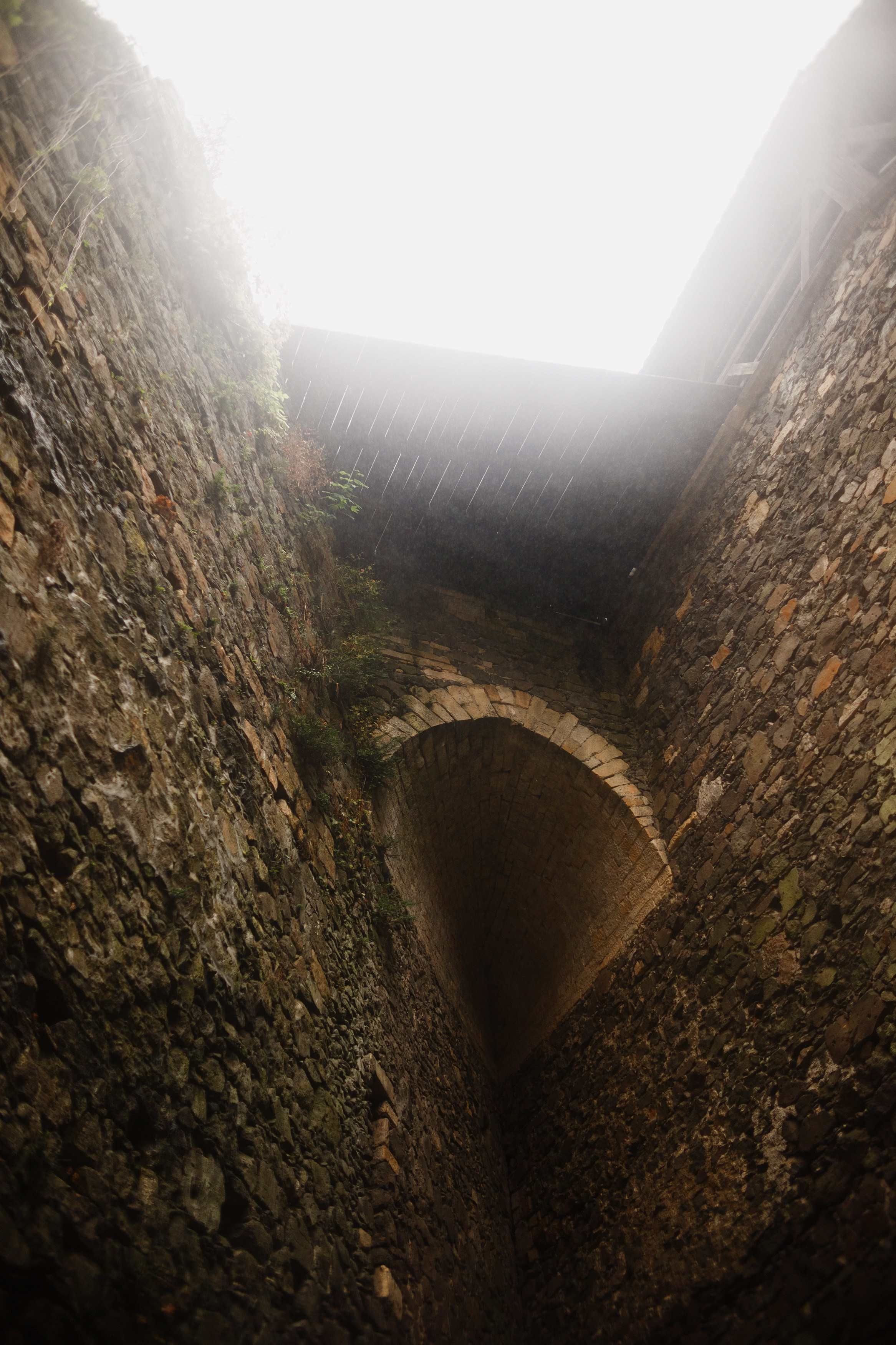 Zamek Grodziec. Kaja | fotograf psów we Wrocławiu