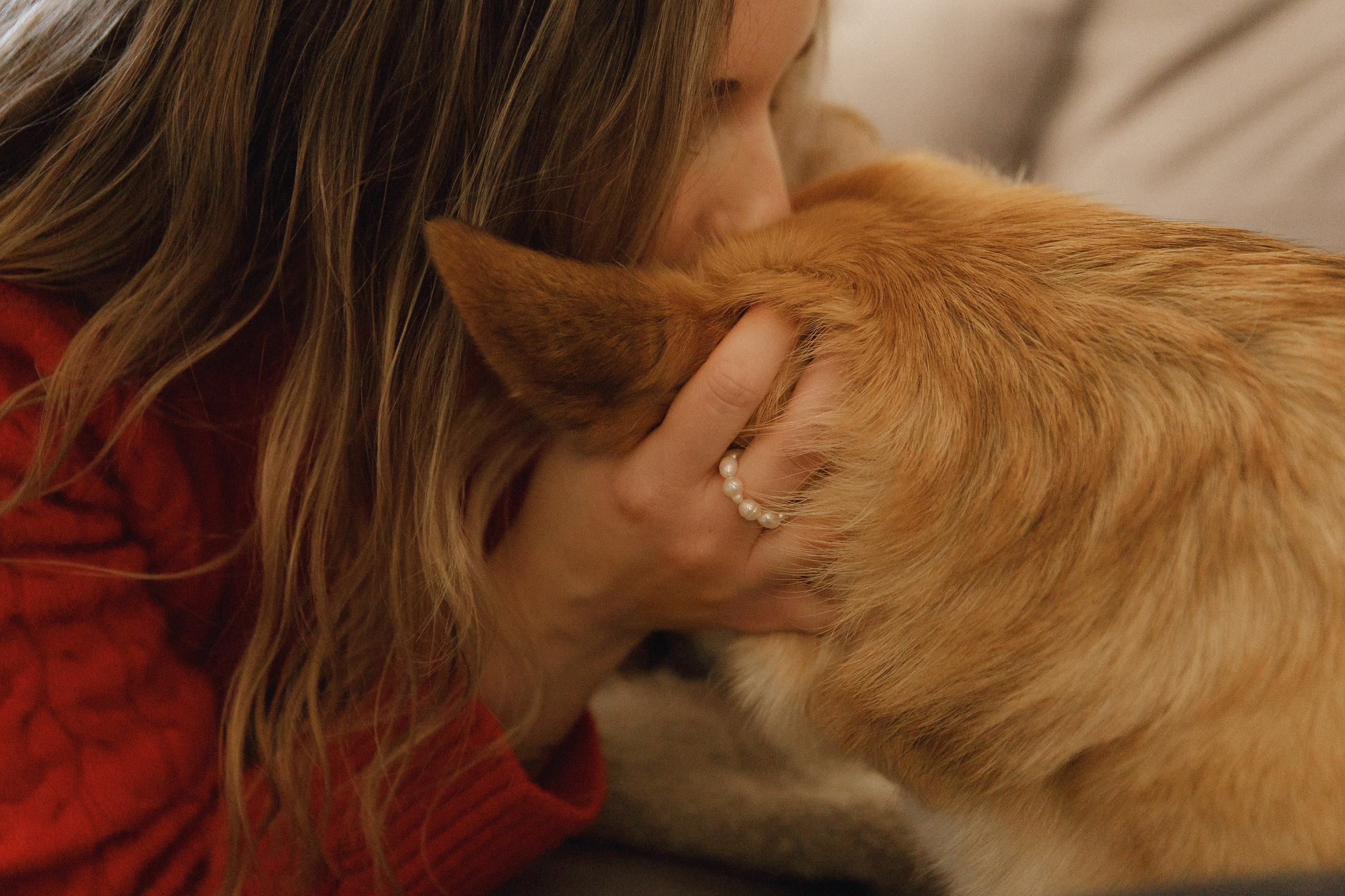 Dasha & Daisy. Kaja | fotograf psów we Wrocławiu