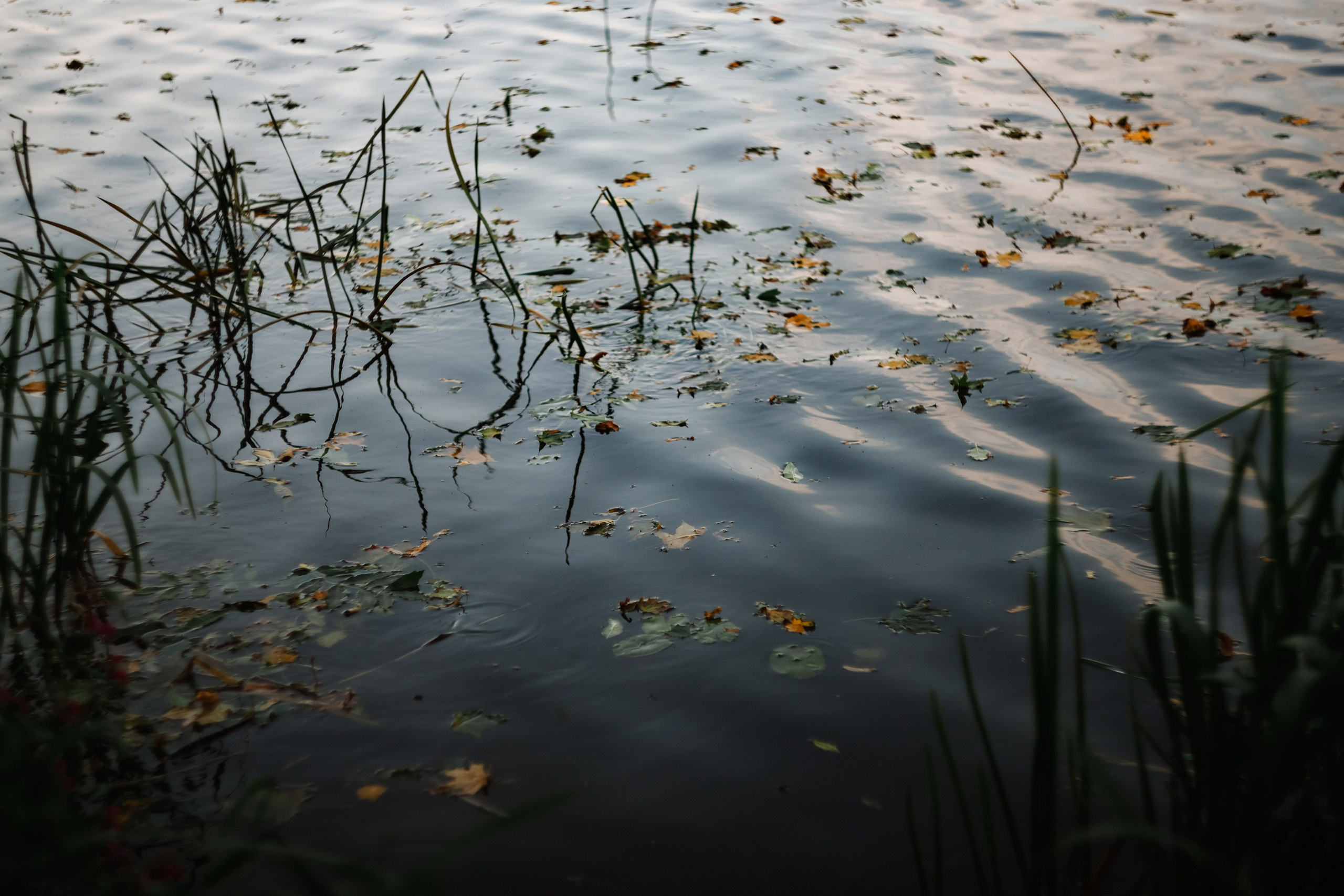 One small village in Grodno region. Kaja | fotograf we Wrocławiu | ludzie i psy