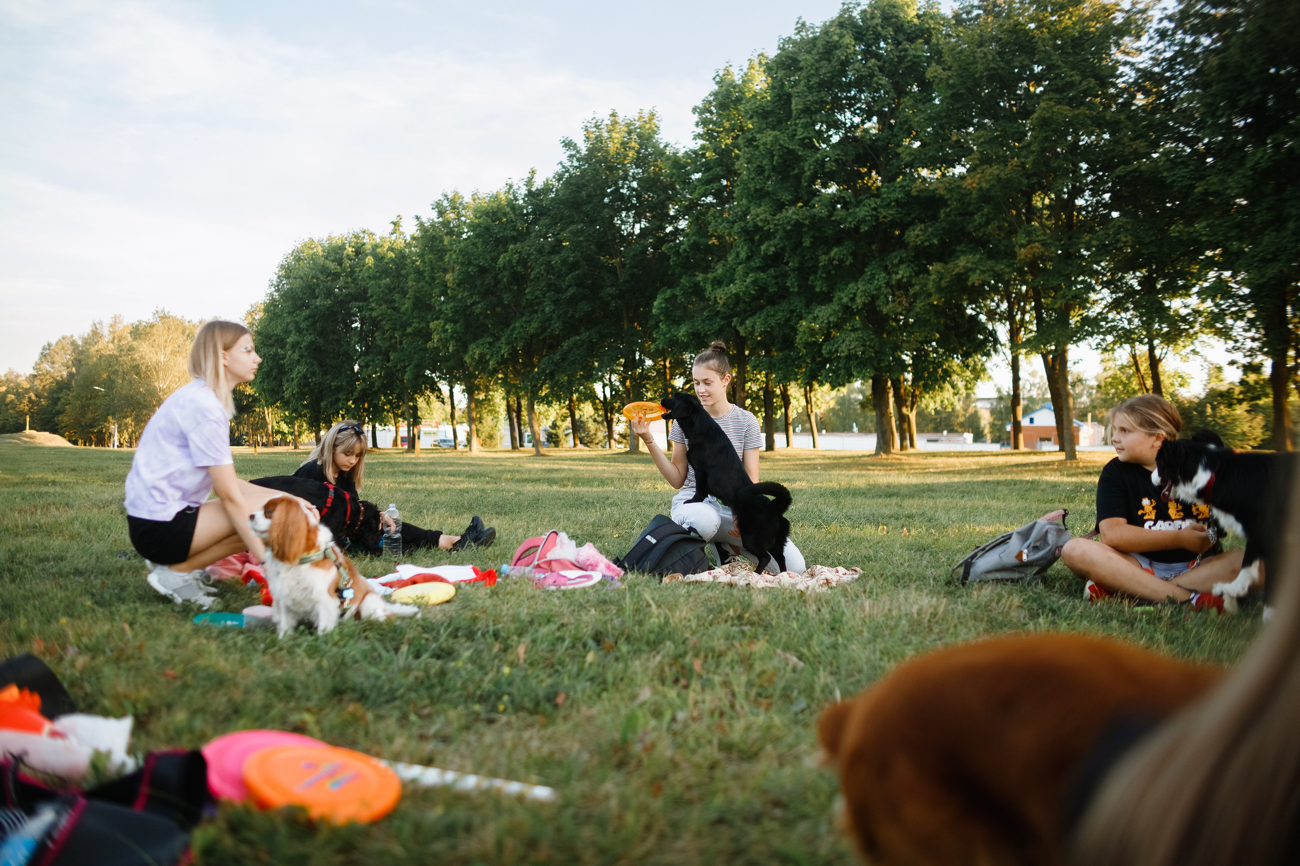 Frisbee workshop of Darya Lukina. Kaja | fotograf we Wrocławiu | ludzie i psy