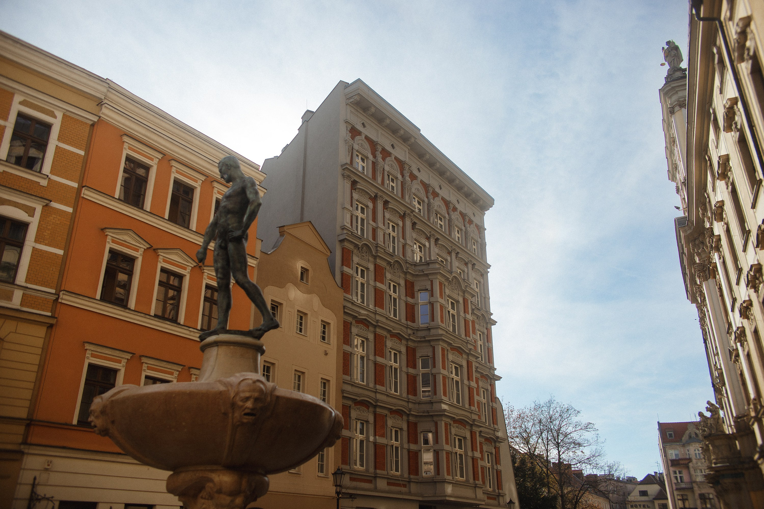 Nastya. Kaja | fotograf psów we Wrocławiu