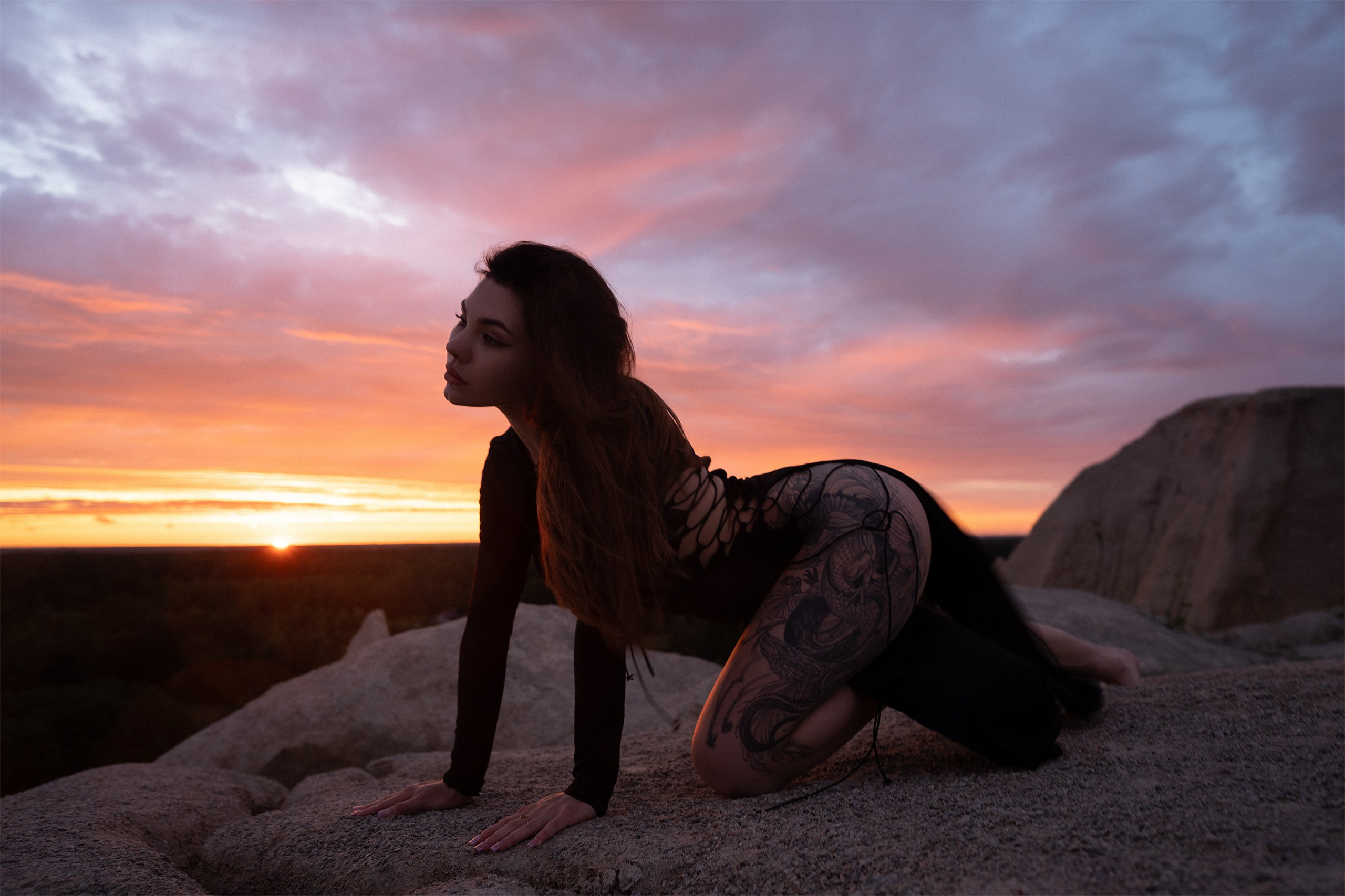 Vanessa