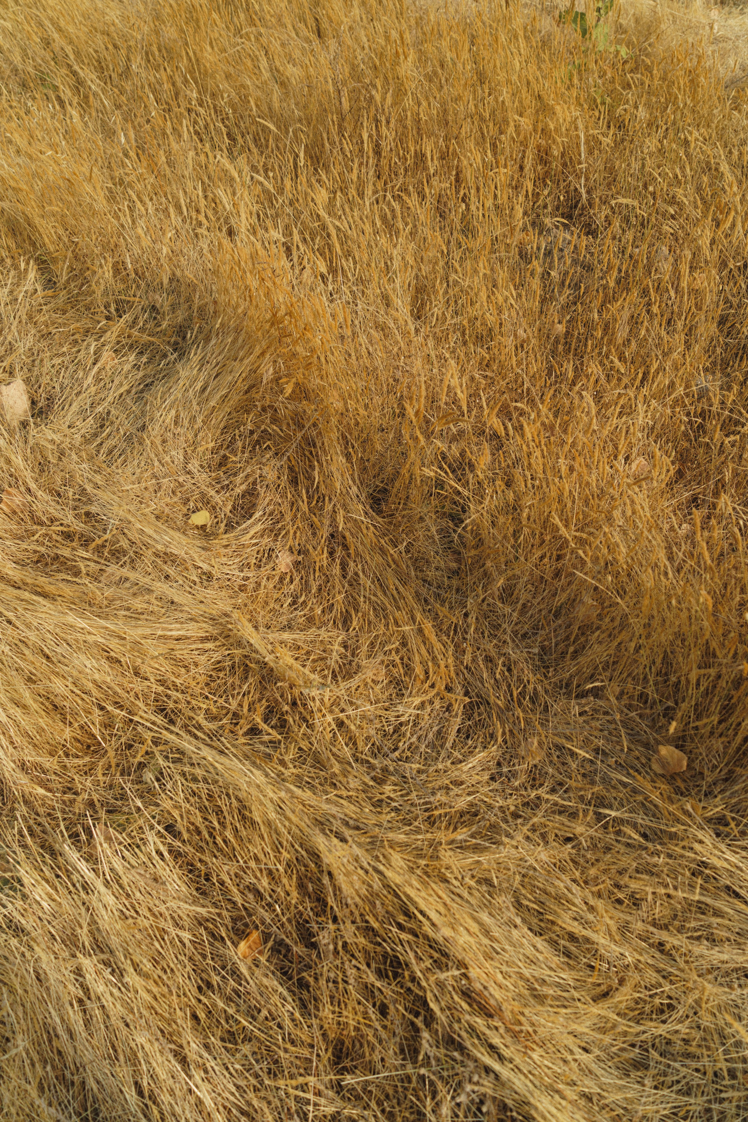 Galeria. Creador de contenido visual en Barcelona | Dima Kit