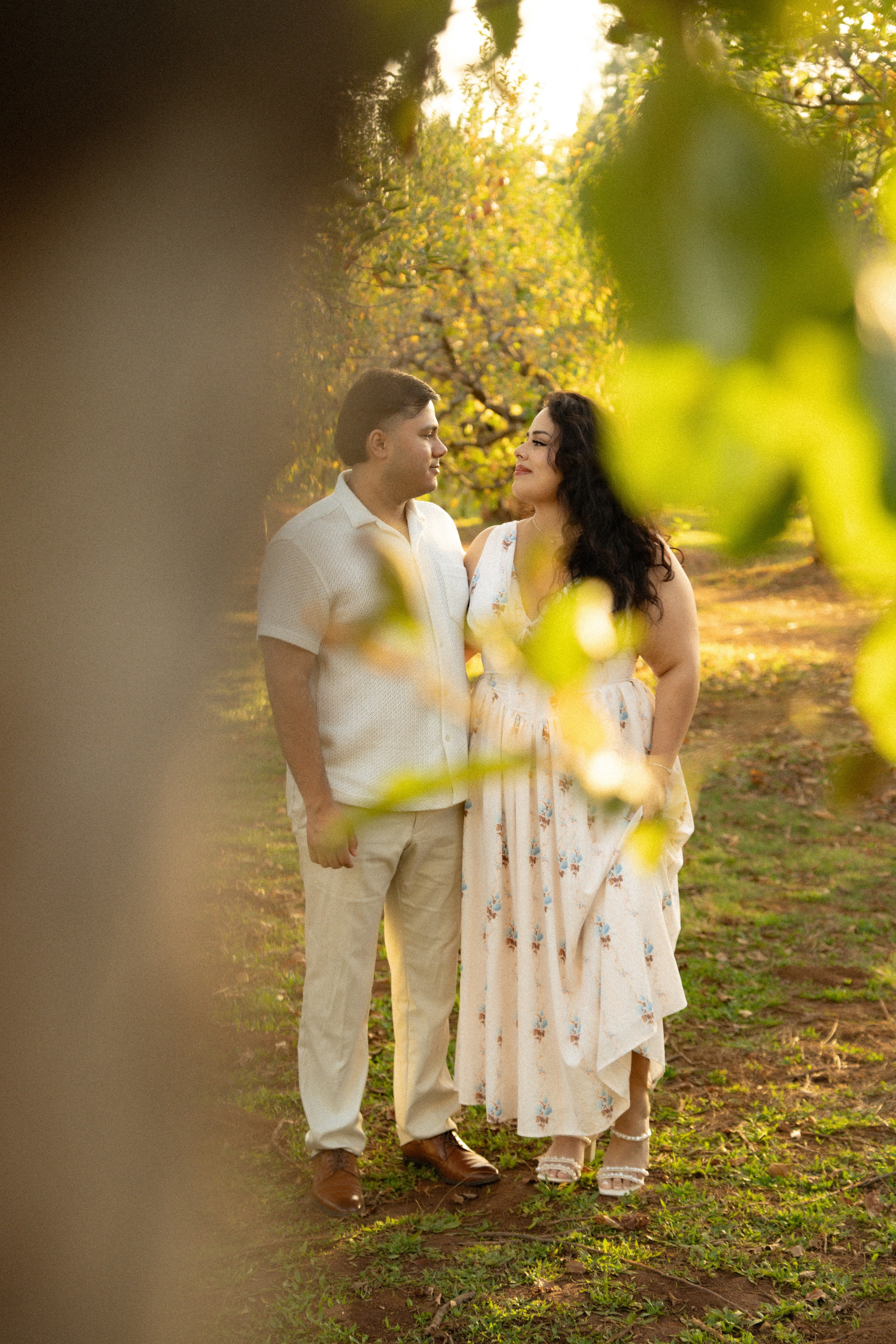 Love Story — Apple Hill