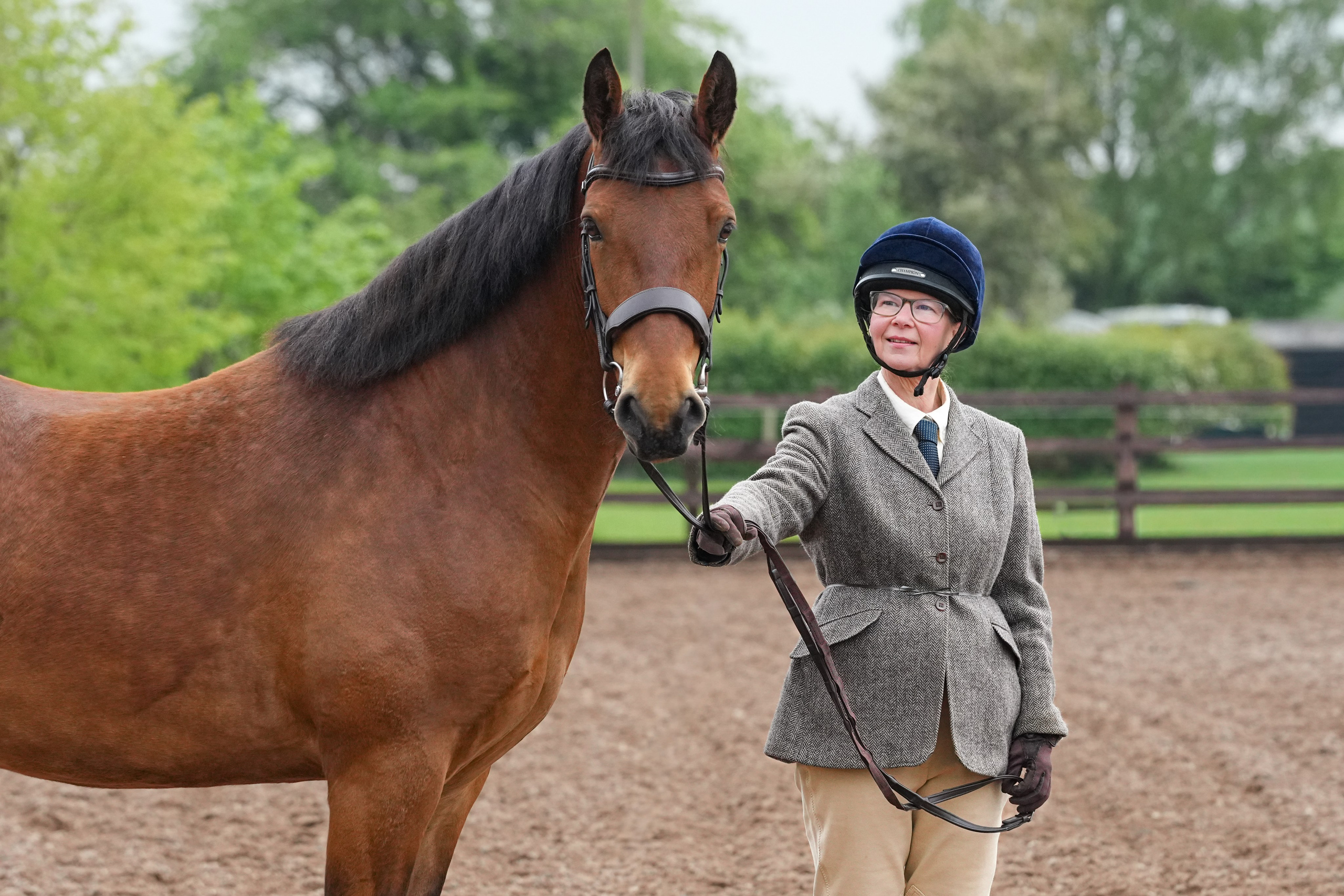Showing. Leicestershire Equine Photography by El | Authentic Equine Portraits & Events