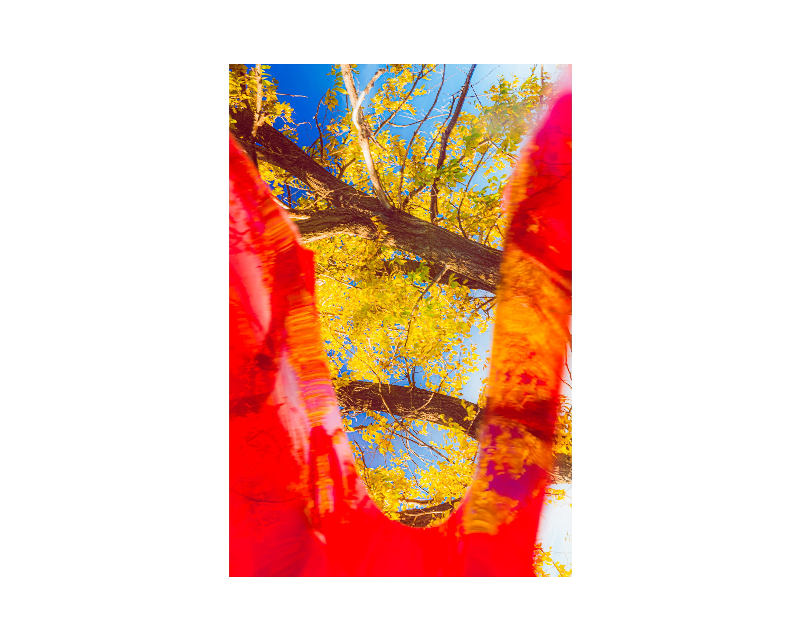 Nature from Exaggerated Worlds. Ekaterina Tsurkina-Appina Photography Canada